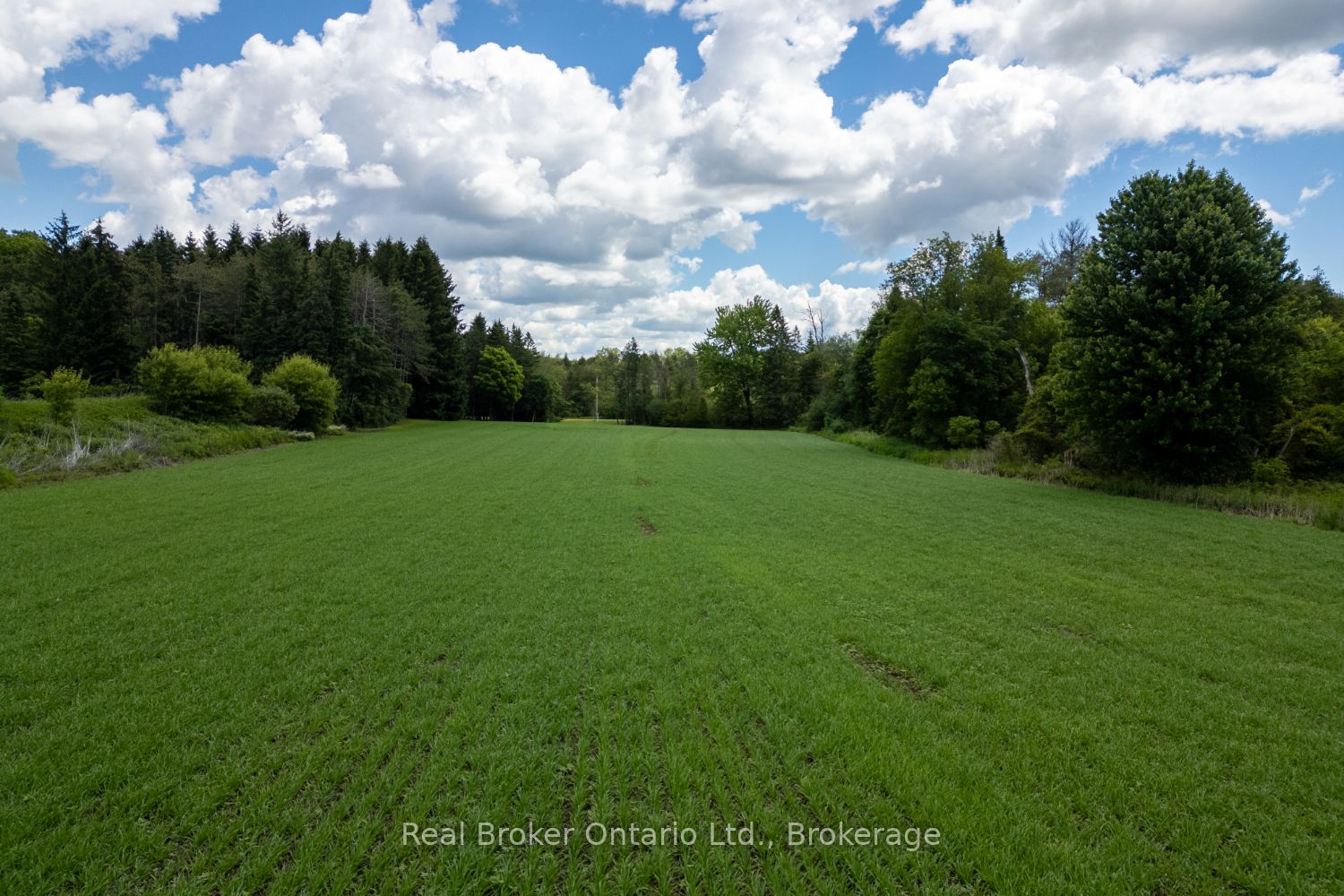 4206 Middle Road Property Photo 24