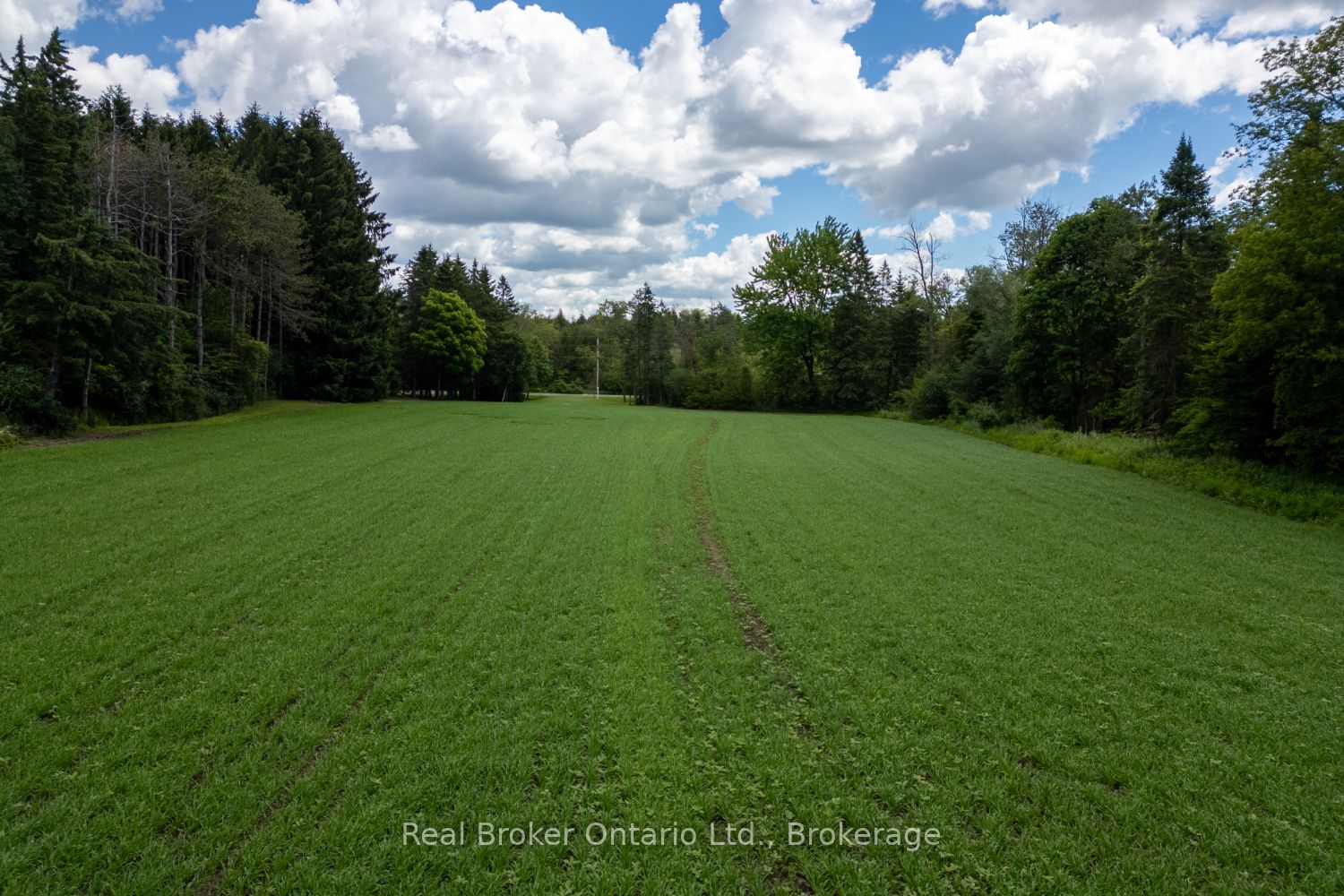 4206 Middle Road Property Photo 25