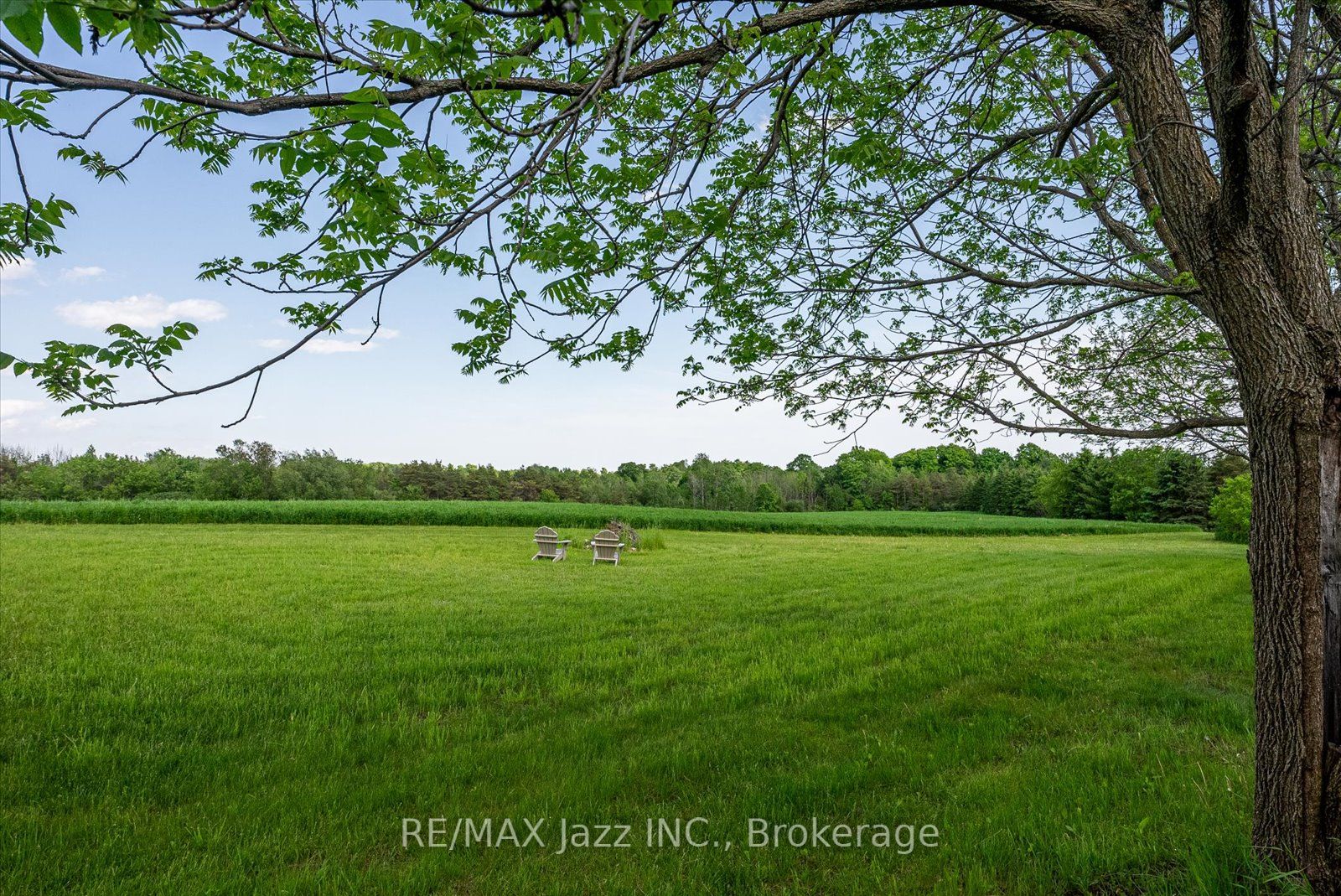 8733 Leskard Road Property Photo 27