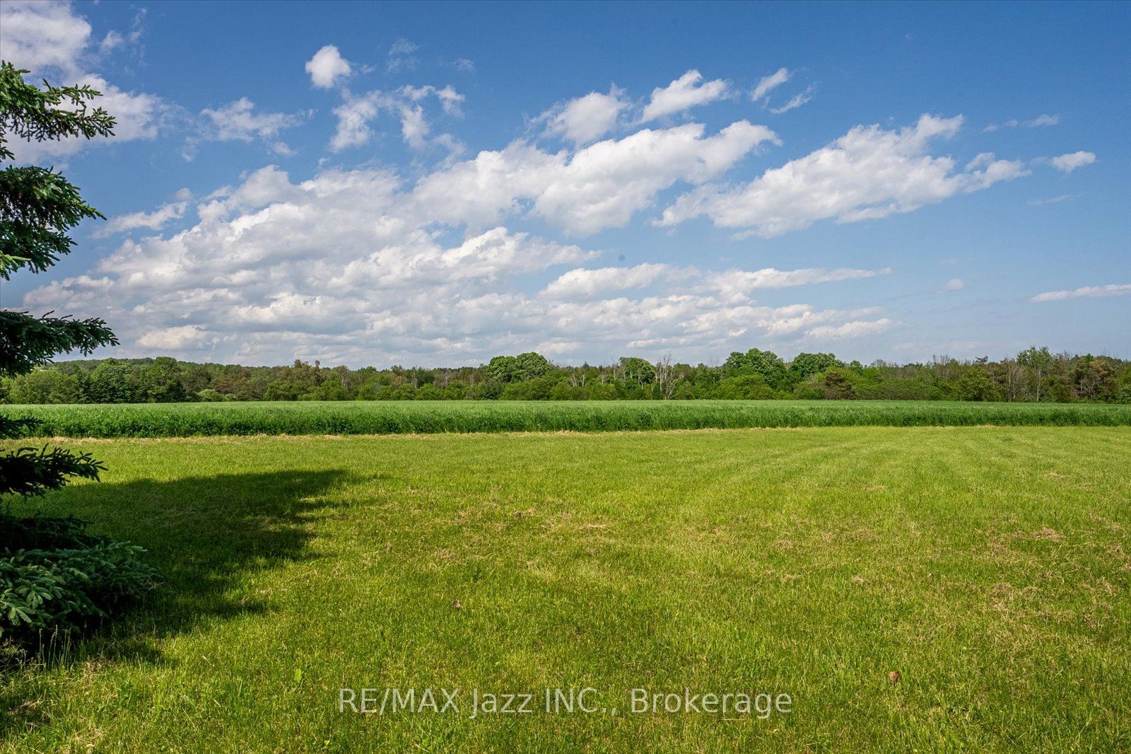 8733 Leskard Road Property Photo 28
