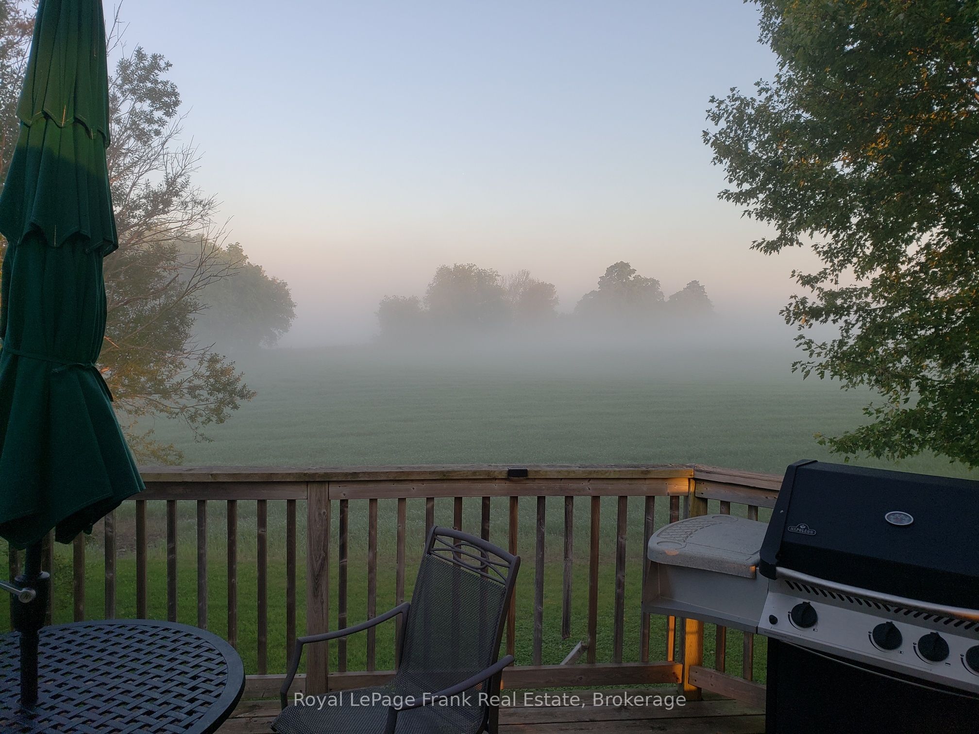 1361 Highway 7a Property Photo 38