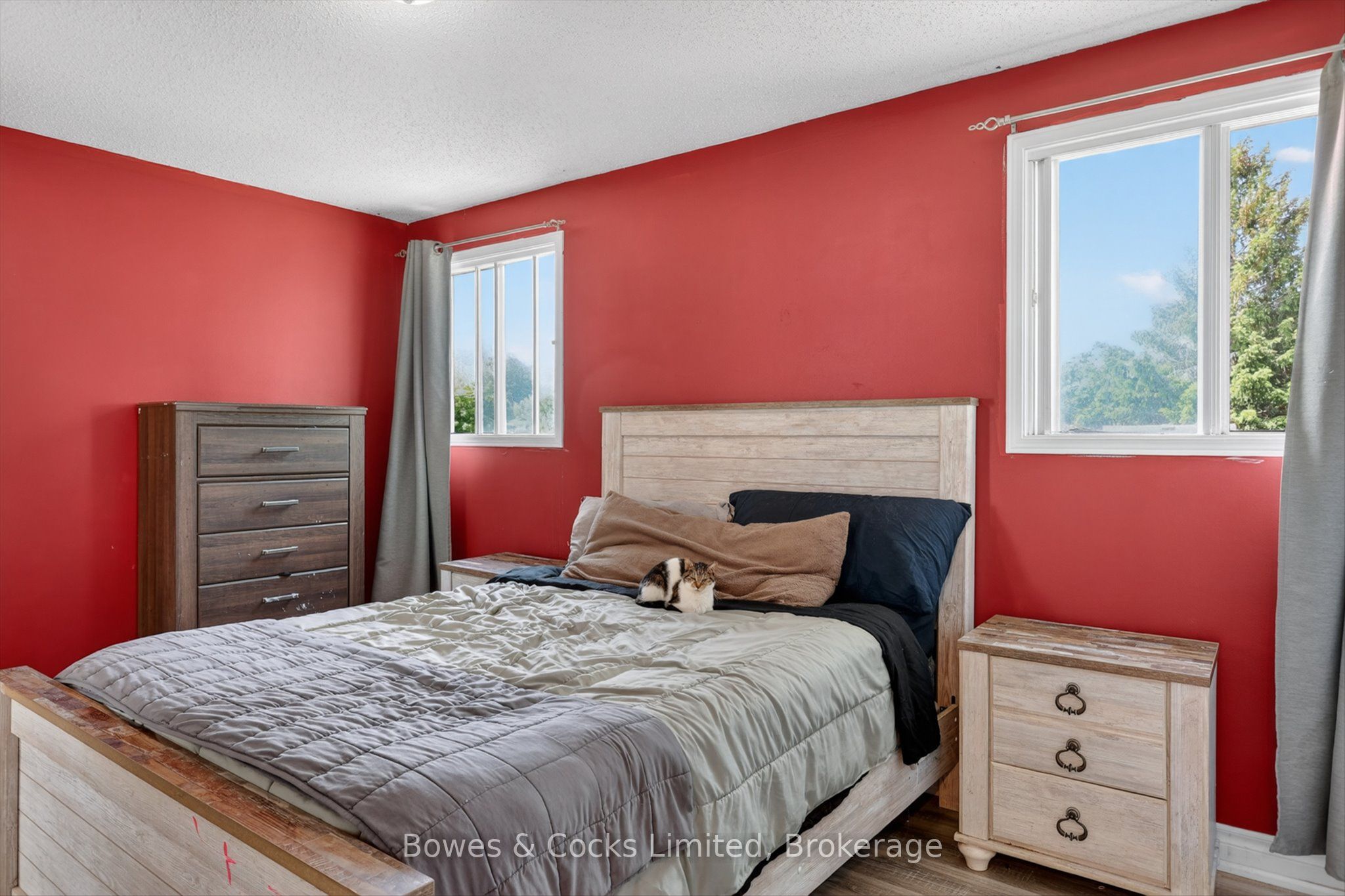 4 Claret Road Property Photo 18