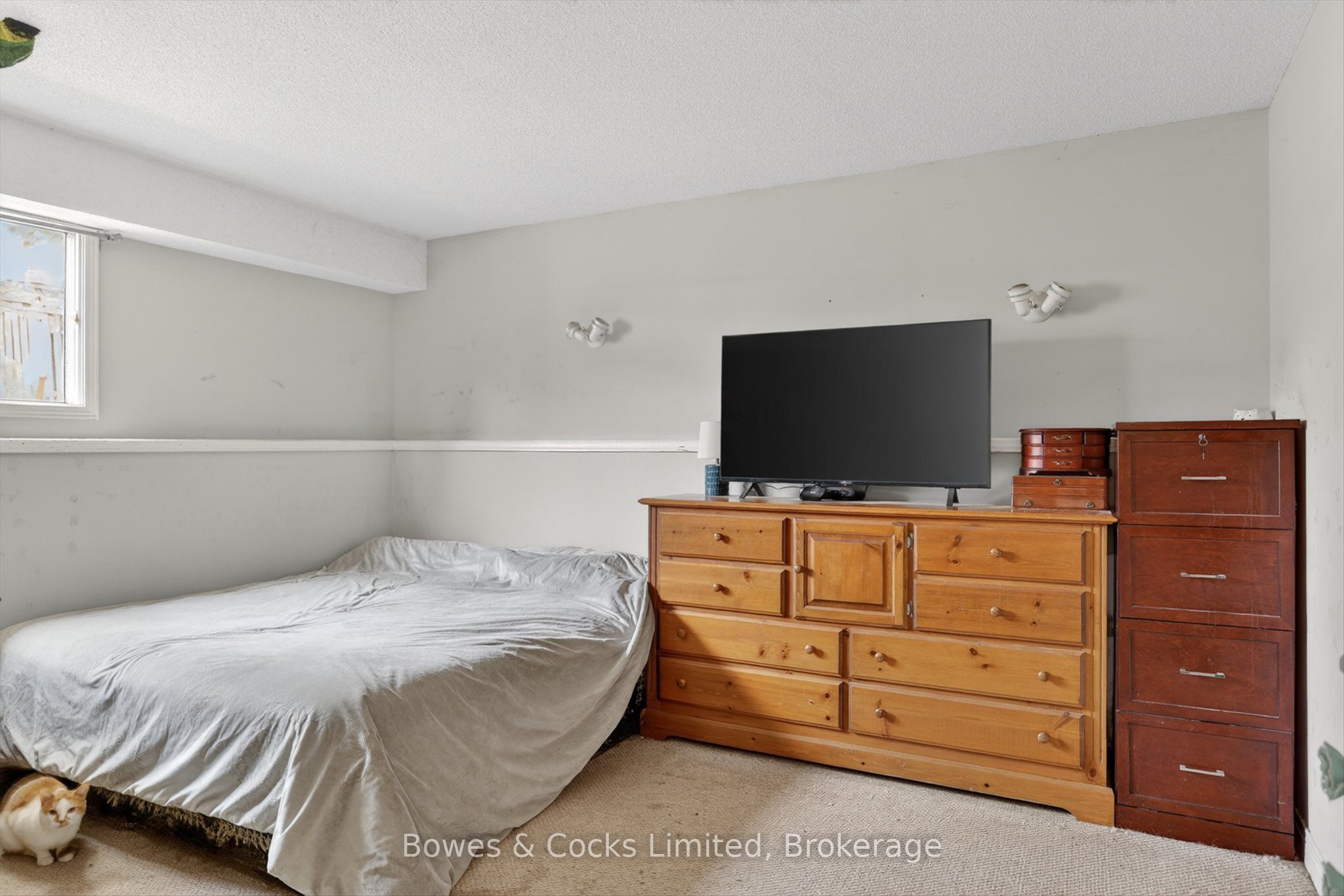4 Claret Road Property Photo 22