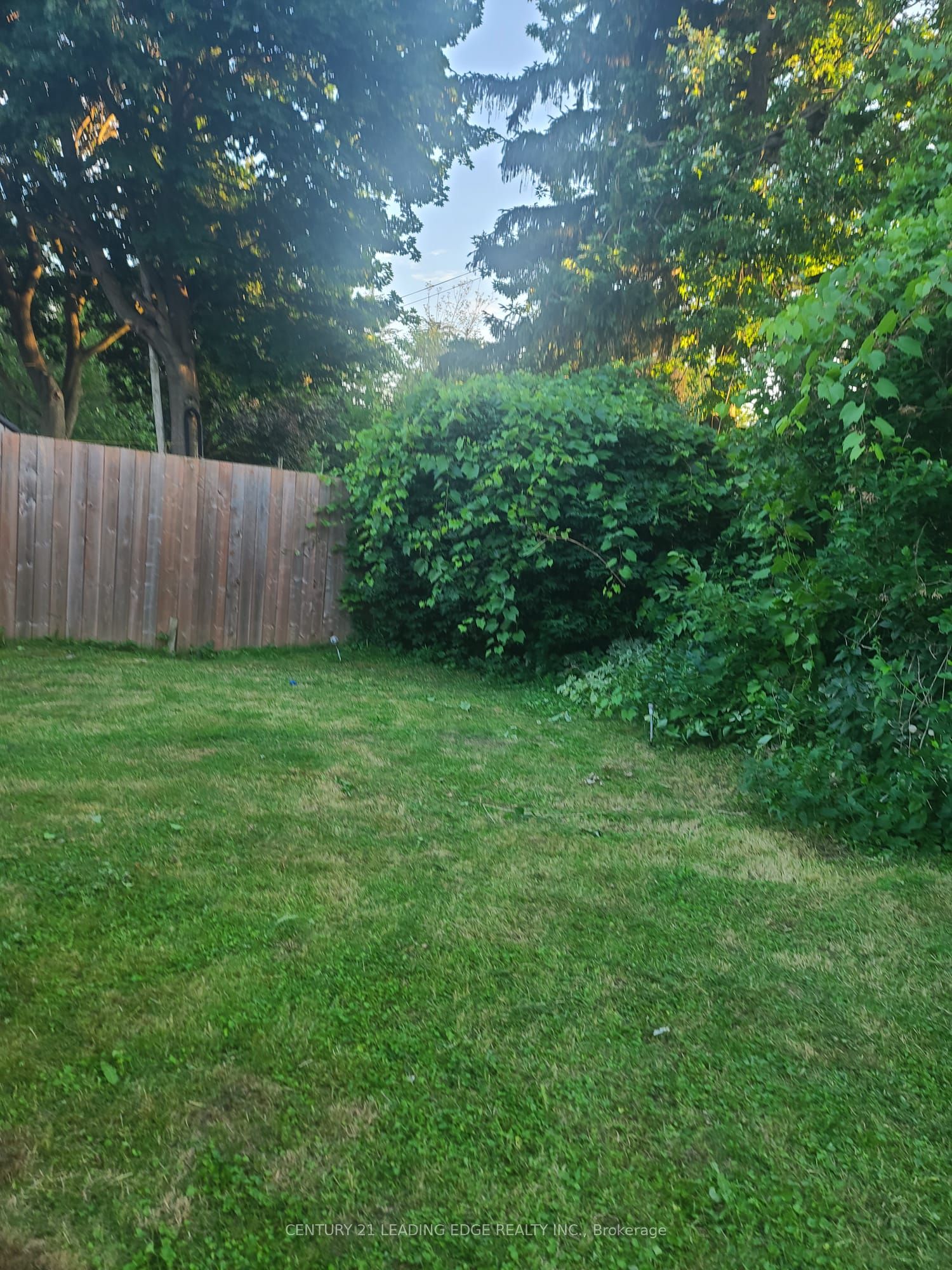 108 Rochman Boulevard Bsmt Property Photo 2