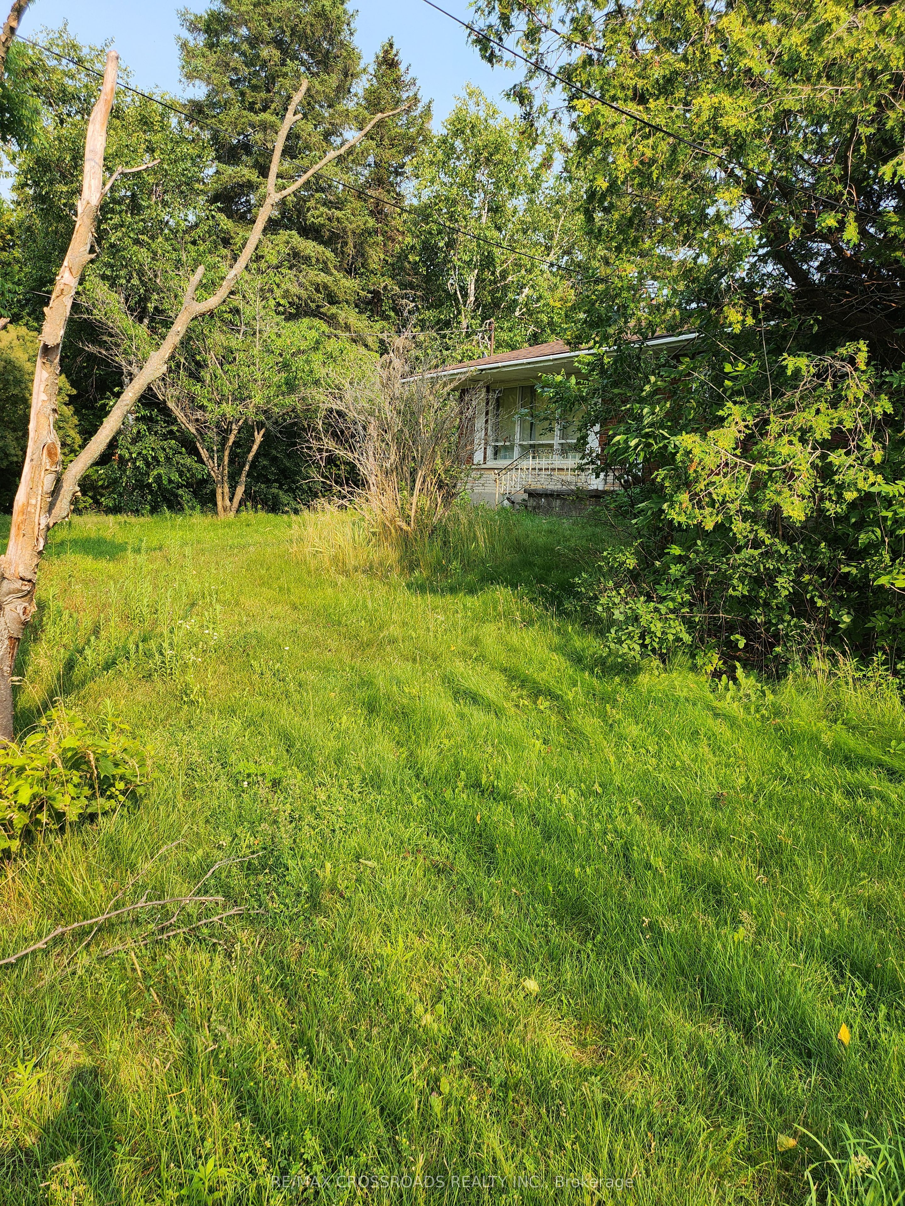 3837 Highway 2 (part 2) Road Property Photo 3