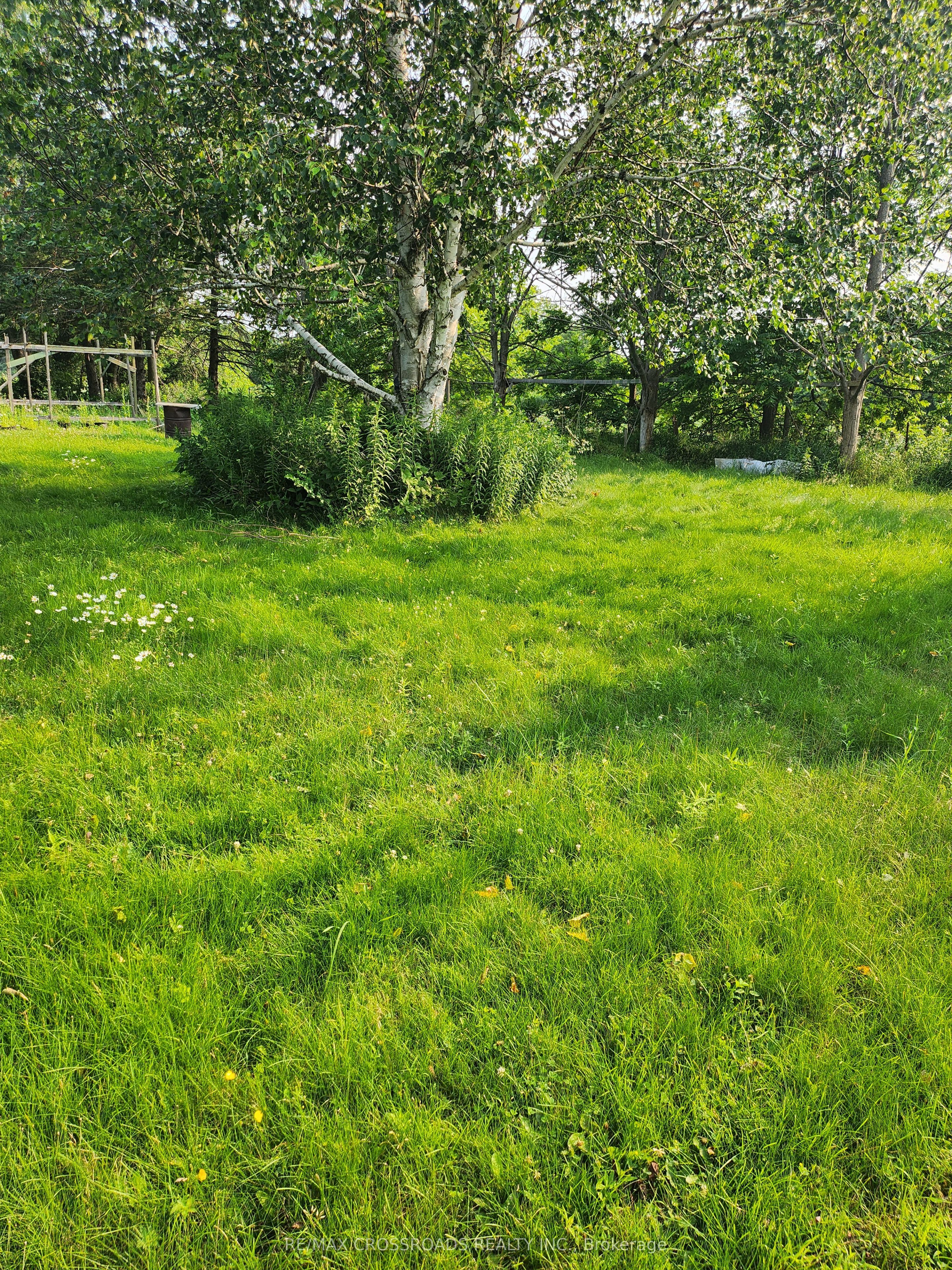 3837 Highway 2 (part 2) Road Property Photo 11