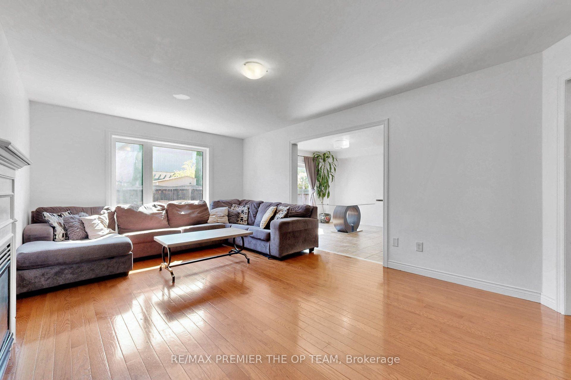 59 Chatterson Street Property Photo 8