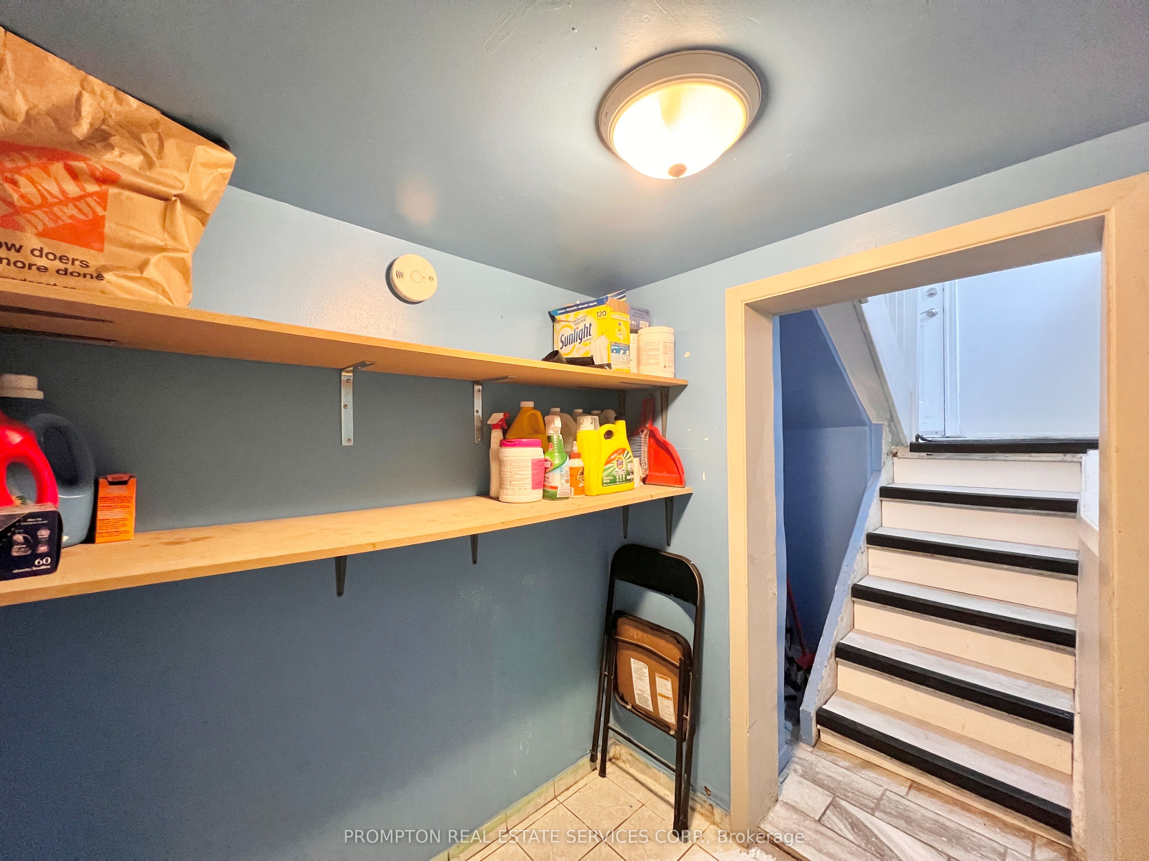 17 Winnifred Avenue Property Photo 44