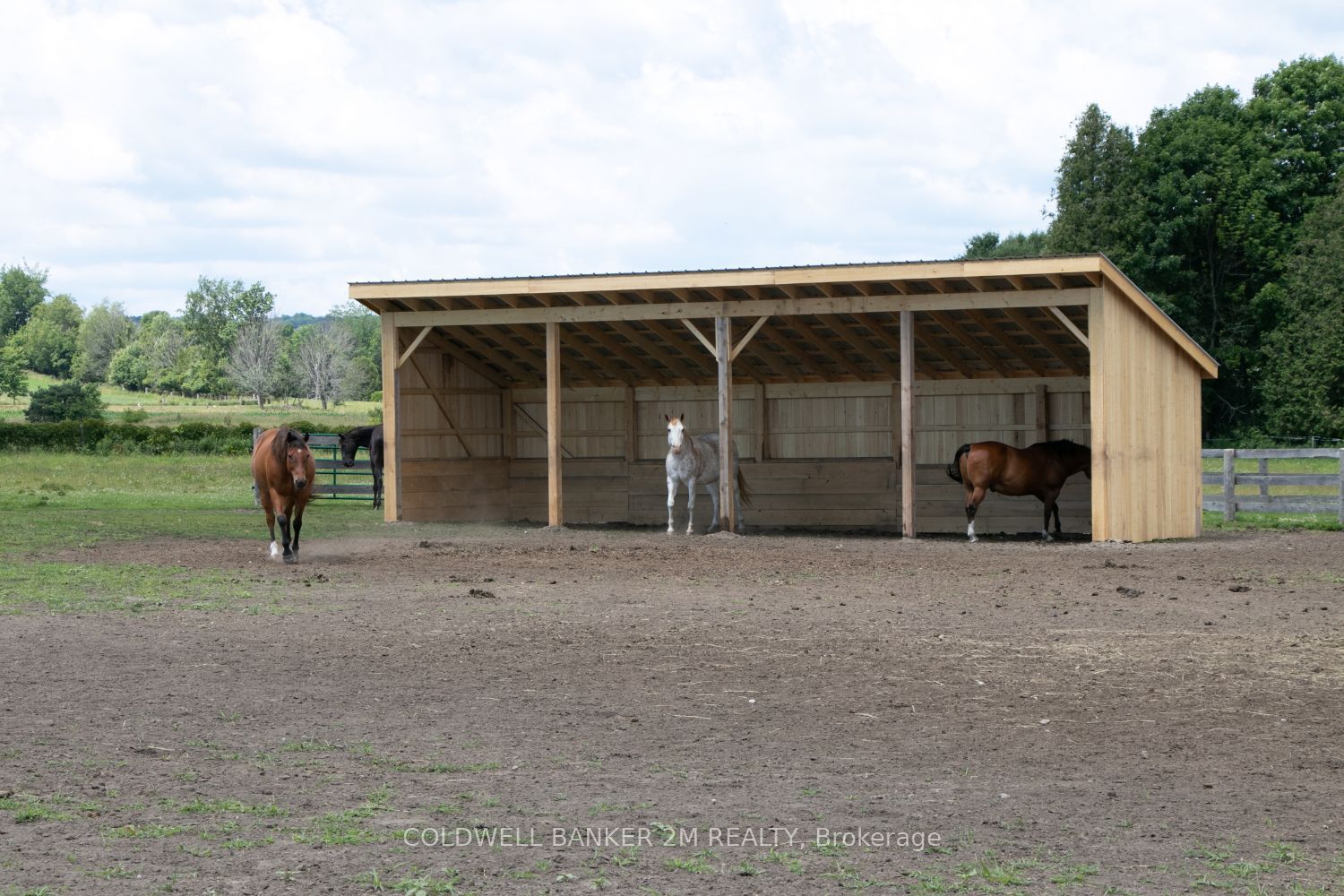 5728 Gilmore Road Property Photo 41