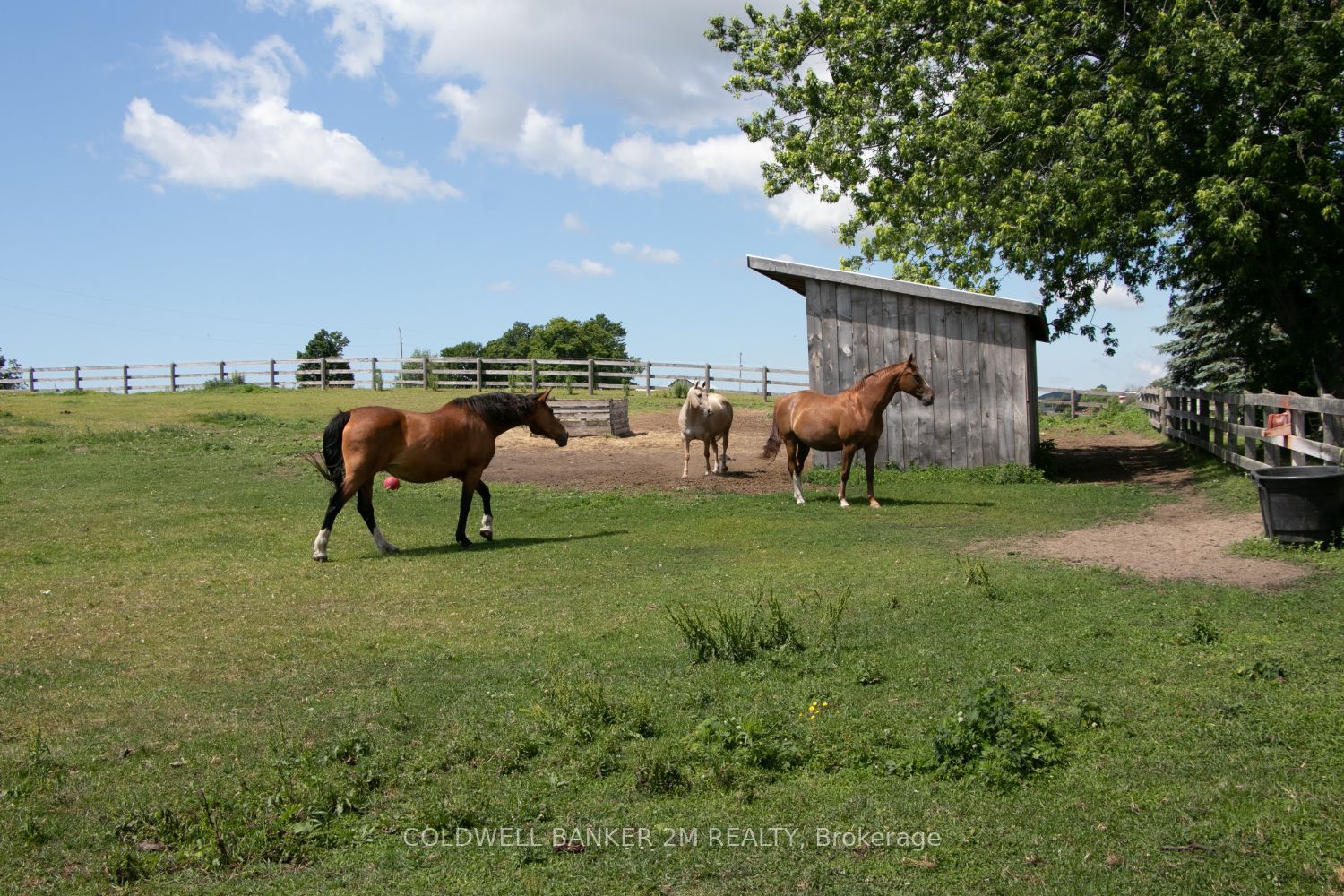 5728 Gilmore Road Property Photo 42