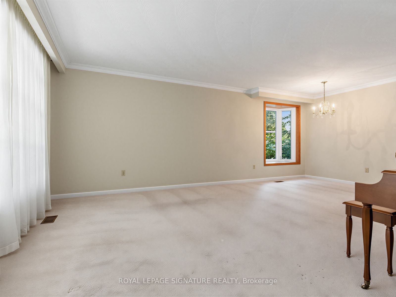 162 Bathgate Drive Property Photo 6