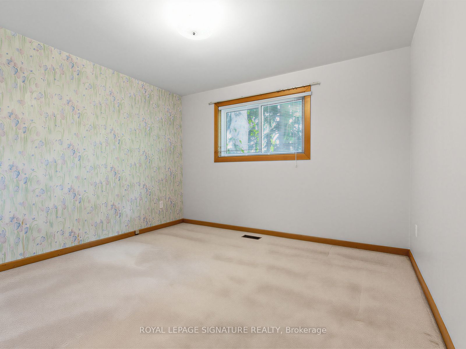 162 Bathgate Drive Property Photo 21