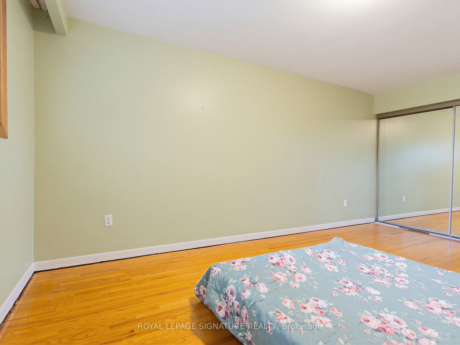 162 Bathgate Drive Property Photo 25