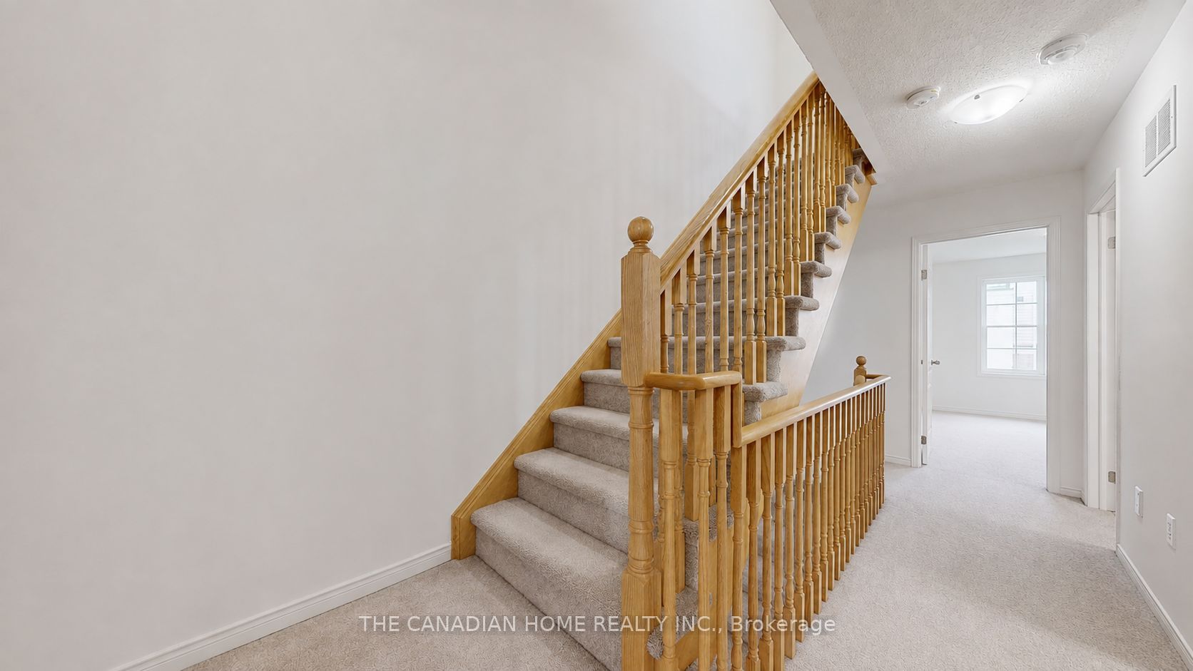 46 Filly Path Property Photo 22