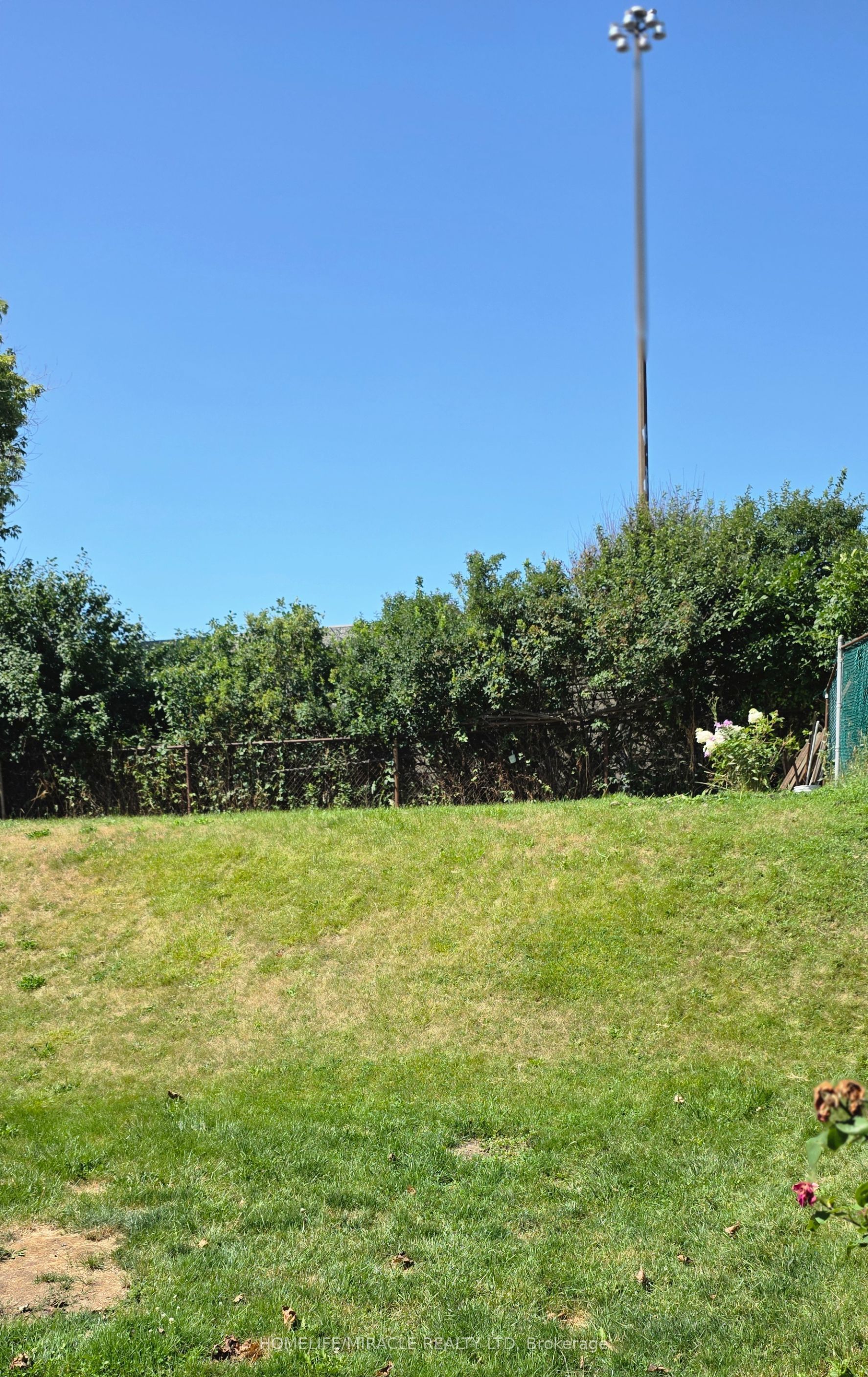46 Cavehill Crescent Property Photo 16