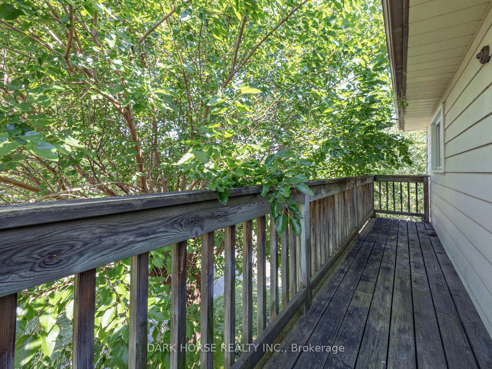 347 Annapolis Avenue Property Photo 23