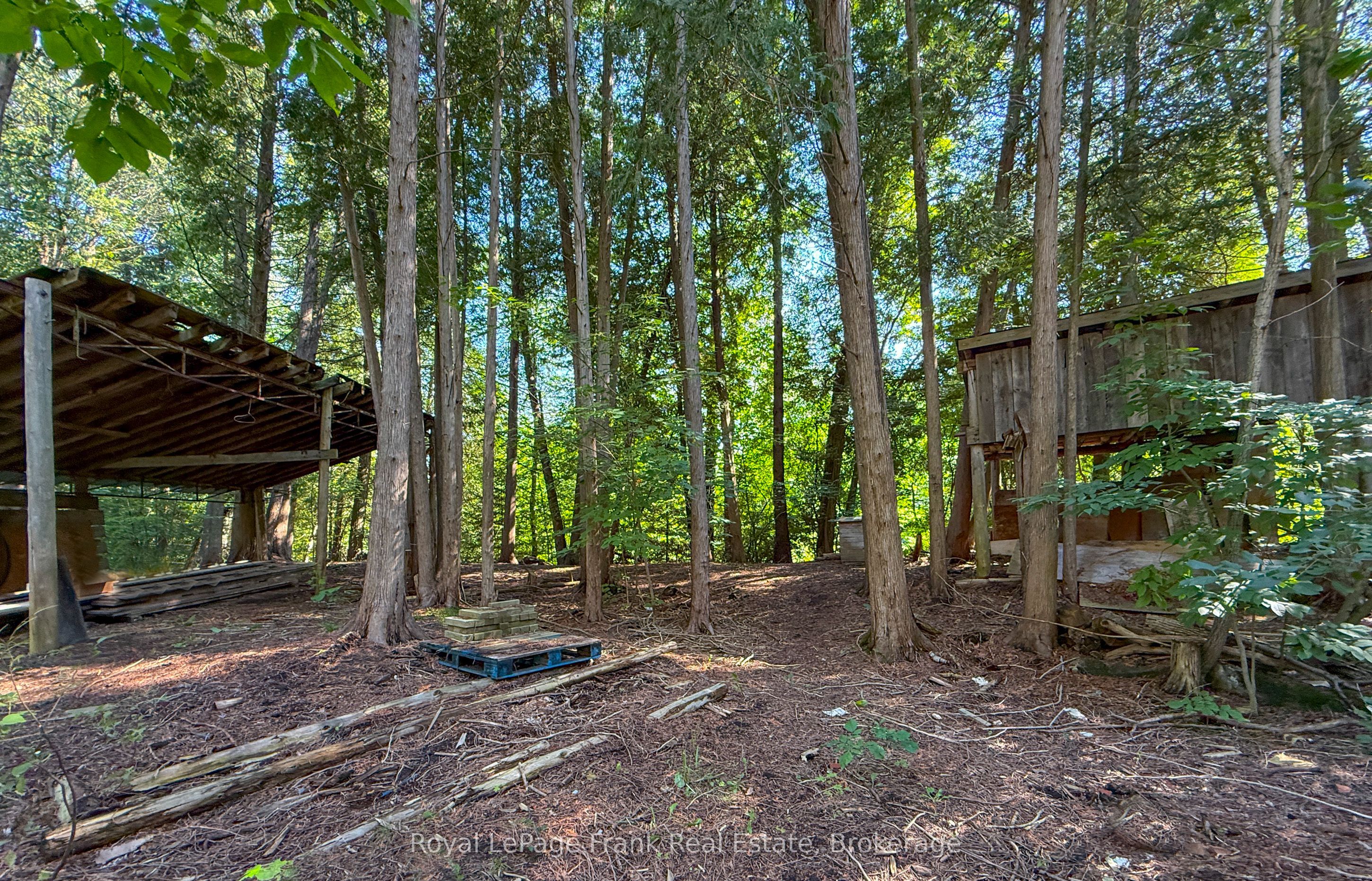 14125 Regional Rd 57 Property Photo 33