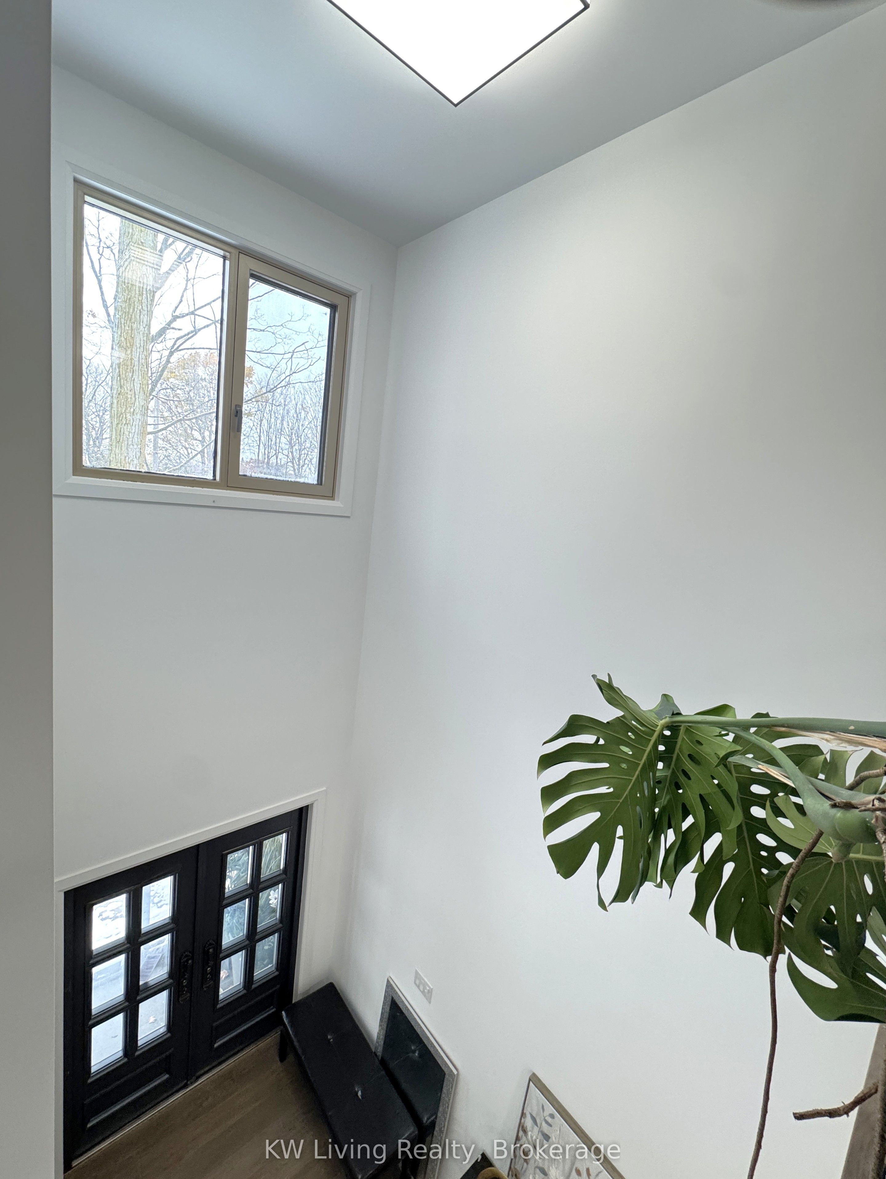 5 Todd Road Property Photo 24