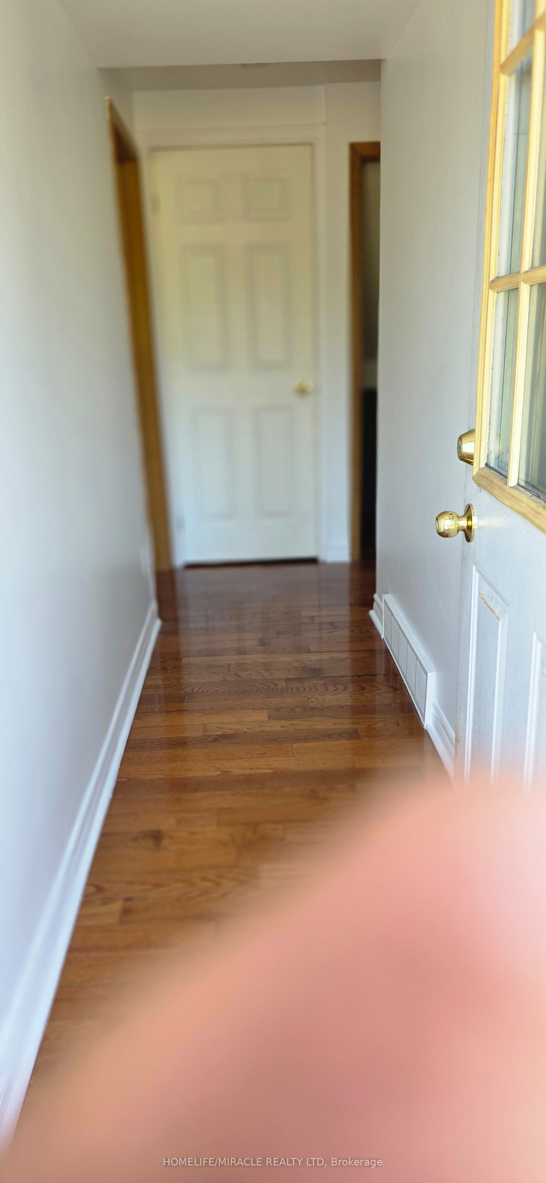 46 Cavehill Crescent Basement Property Photo 4