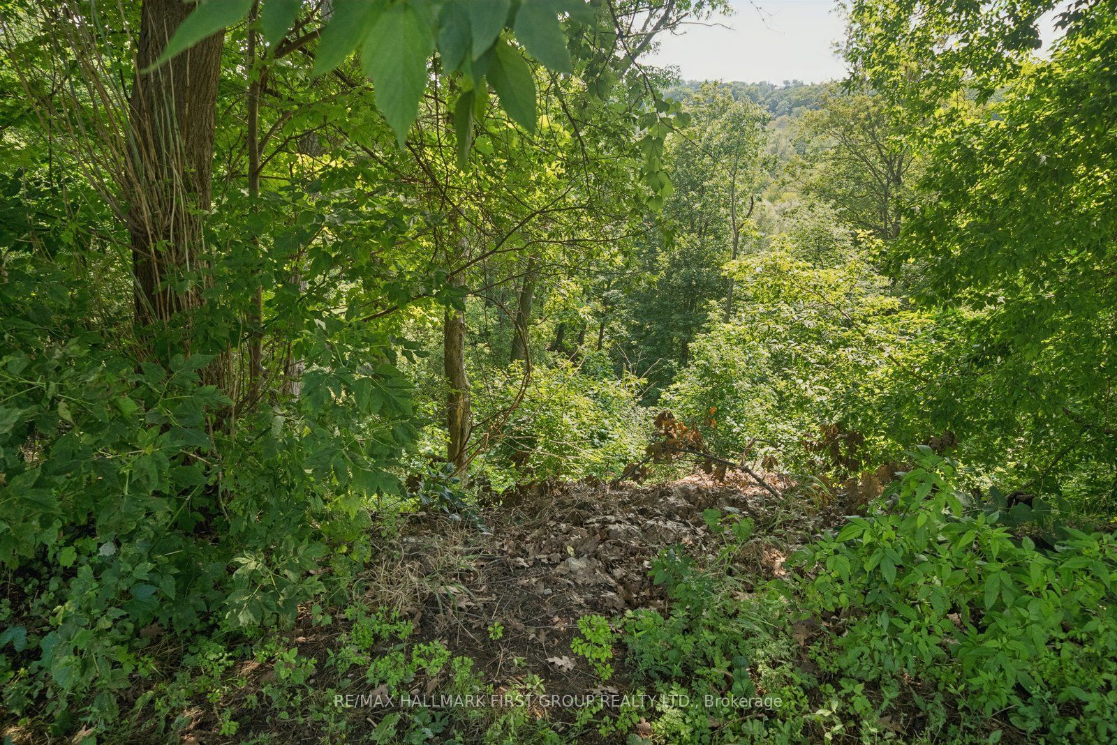 506 Rougemount Drive Property Photo 48