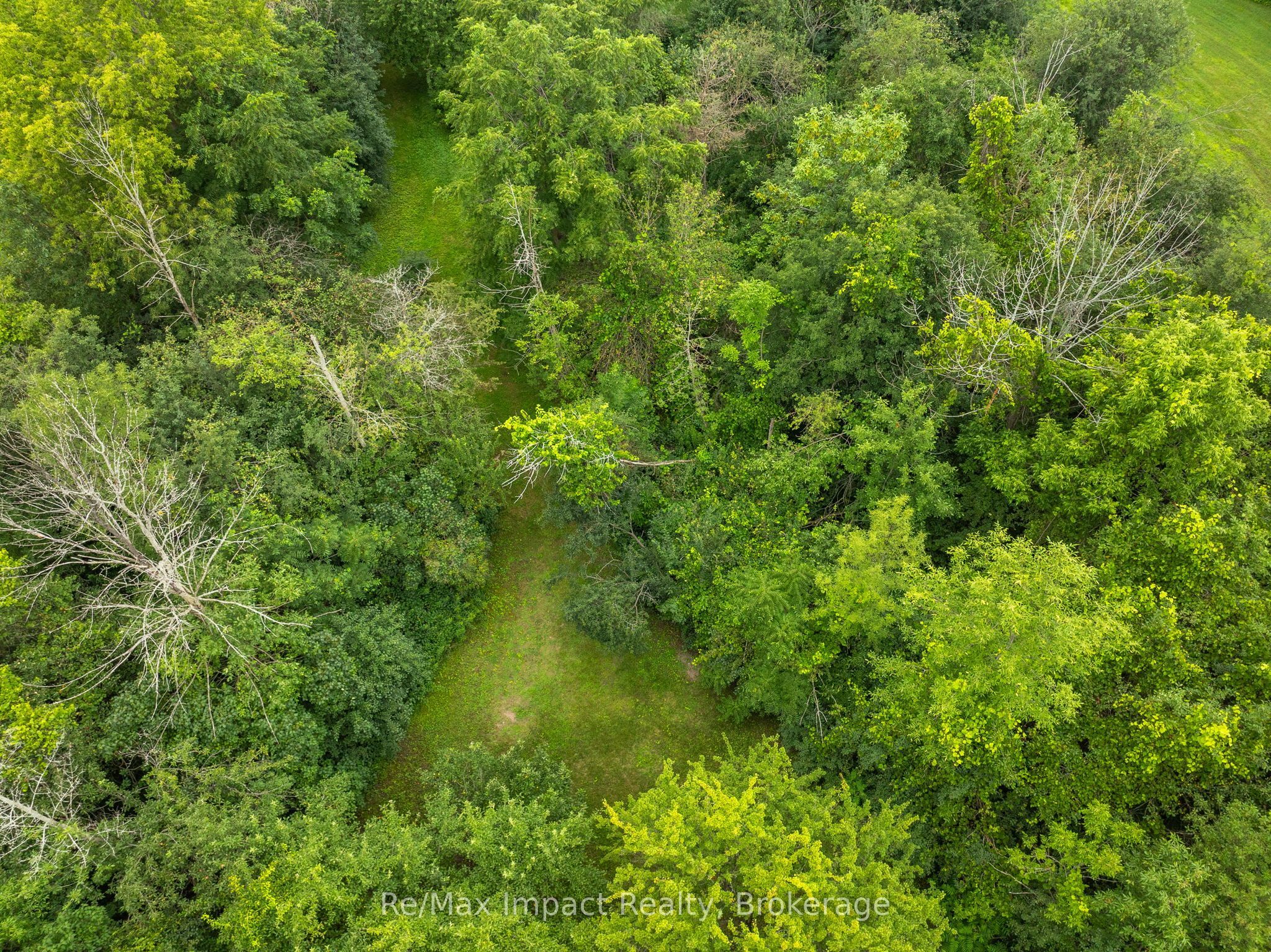 2347 Hancock Road Property Photo 44