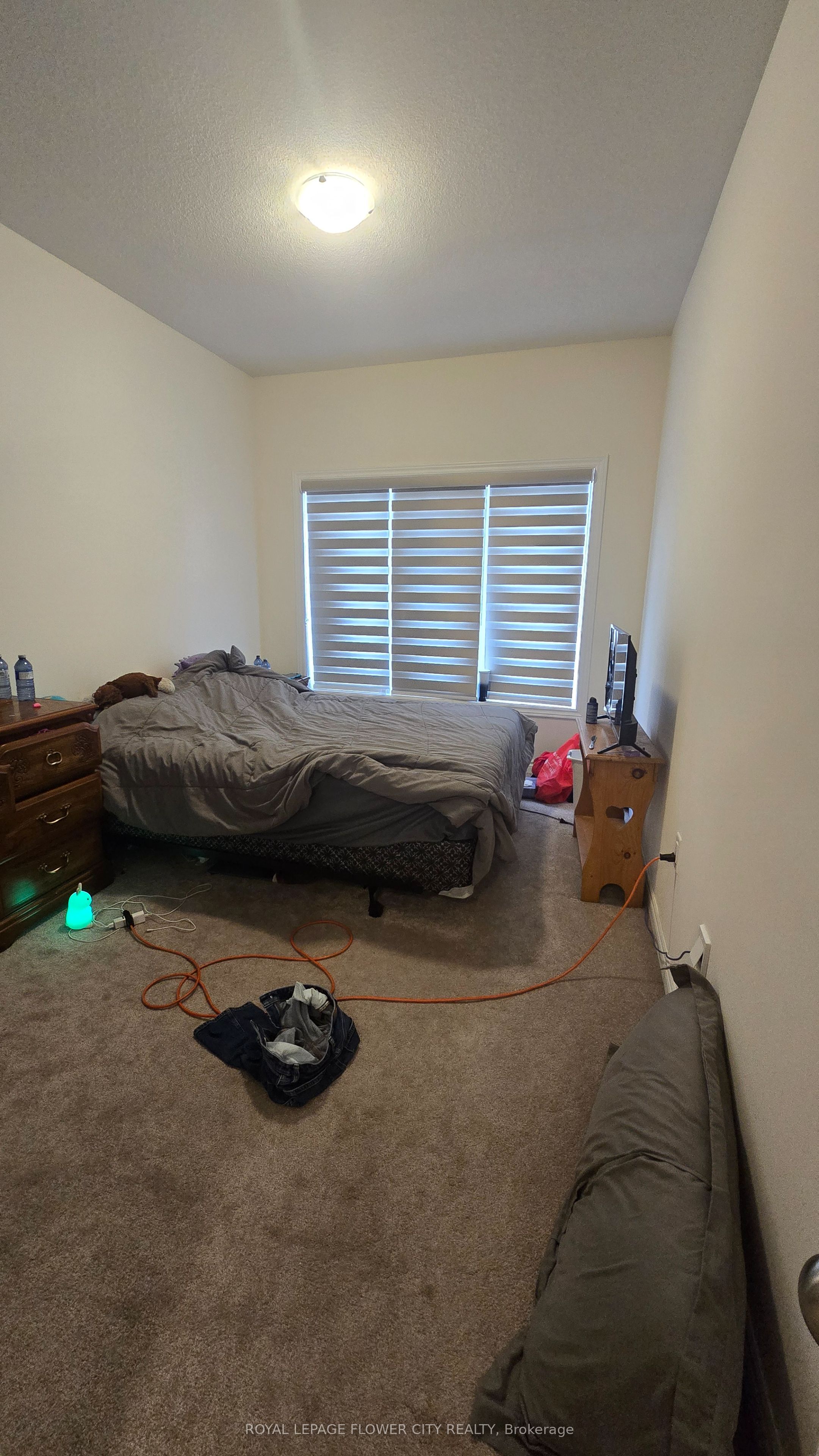 1241 Rexton Drive Property Photo 15