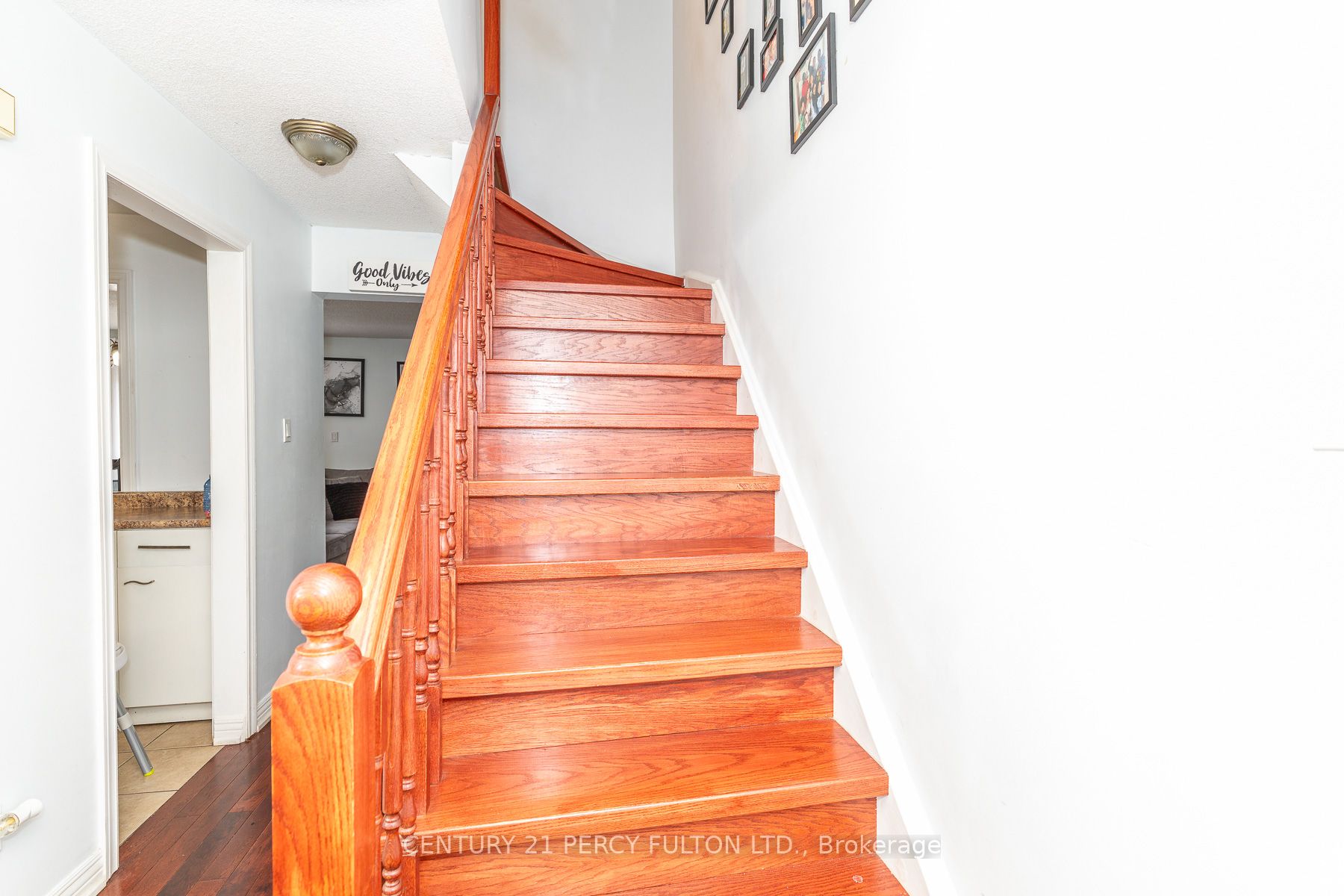 557 Cobblehill Drive Property Photo 19