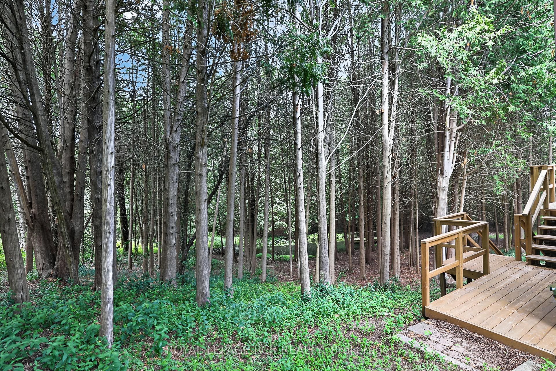 502 Townline Road Property Photo 27