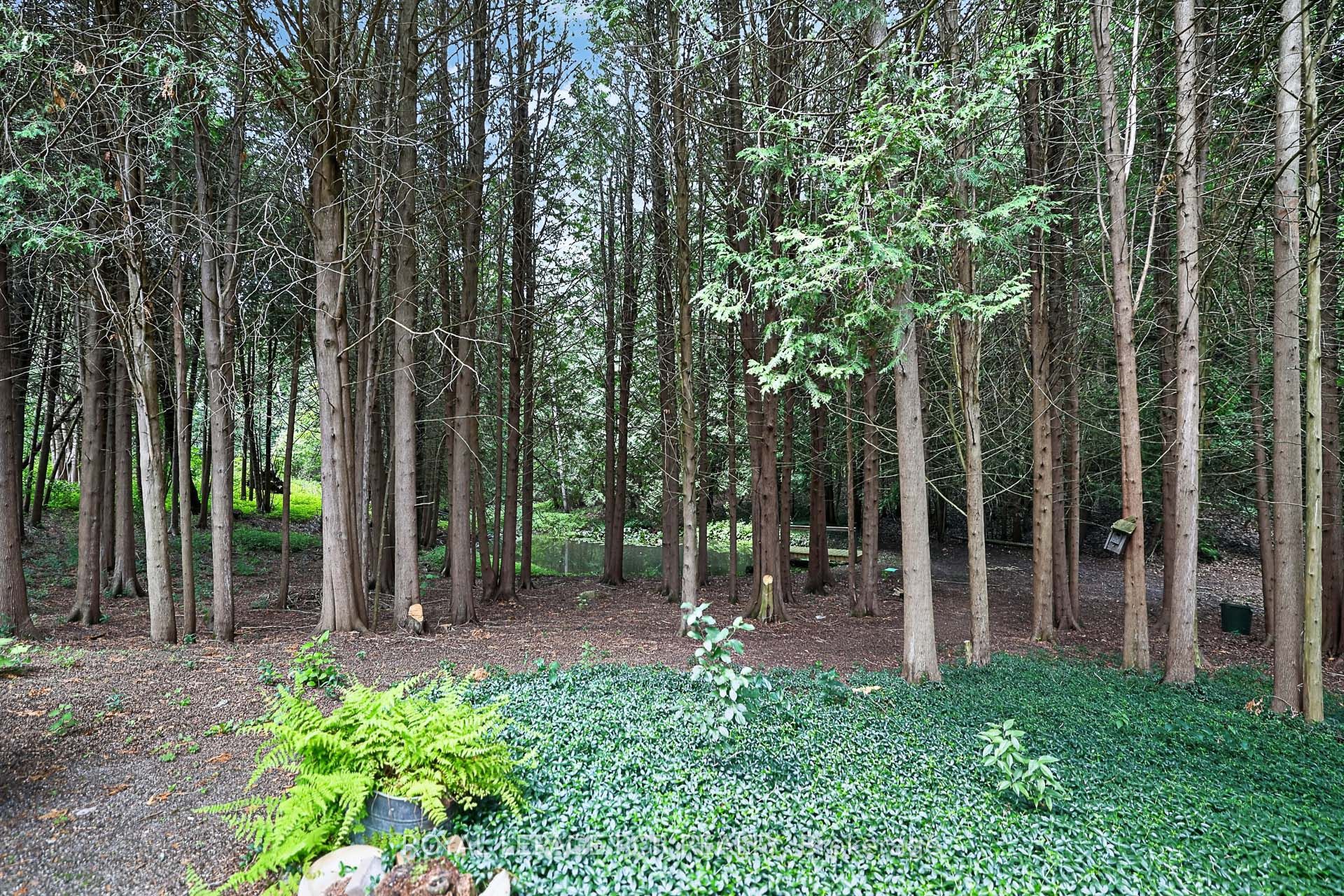 502 Townline Road Property Photo 33