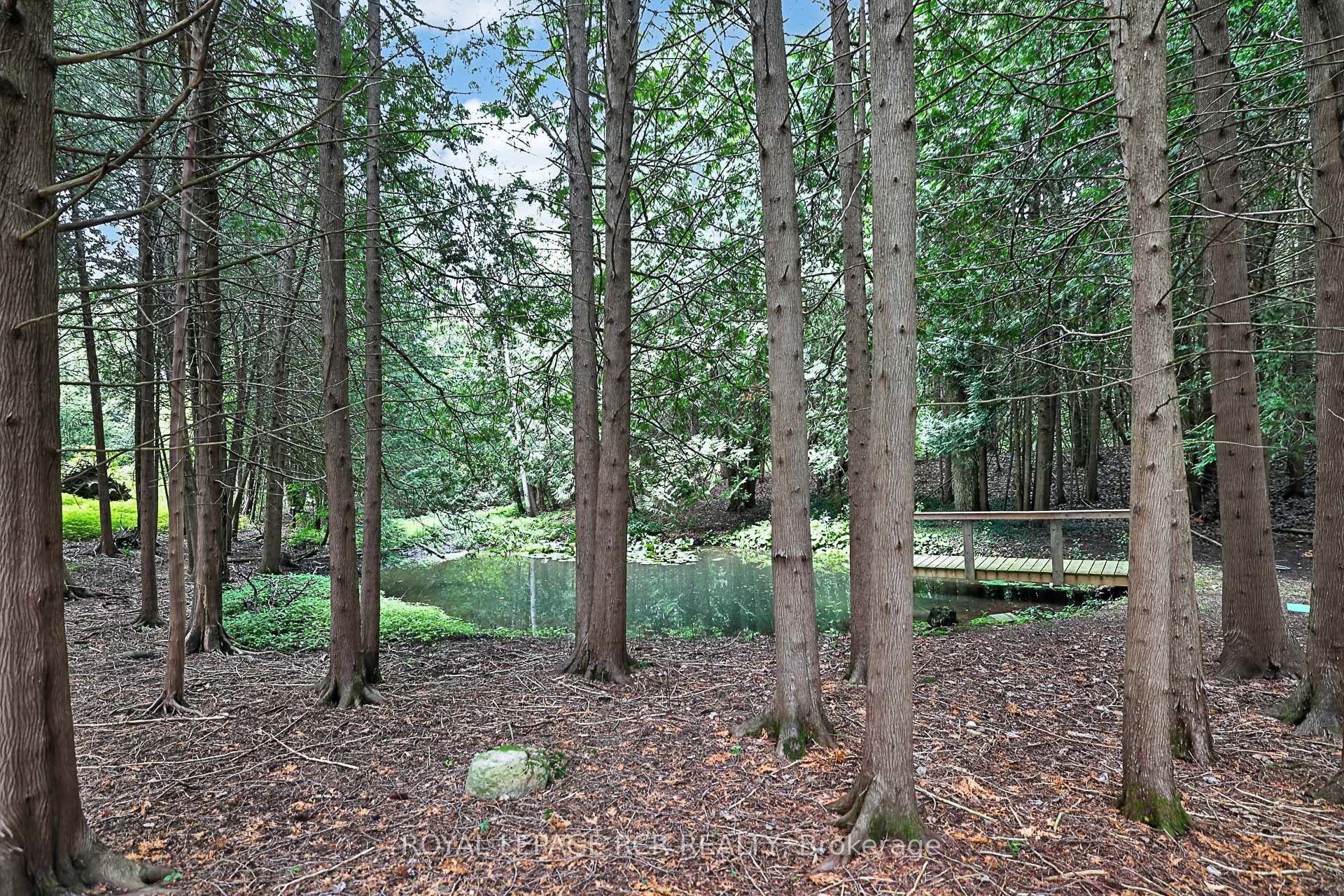 502 Townline Road Property Photo 34