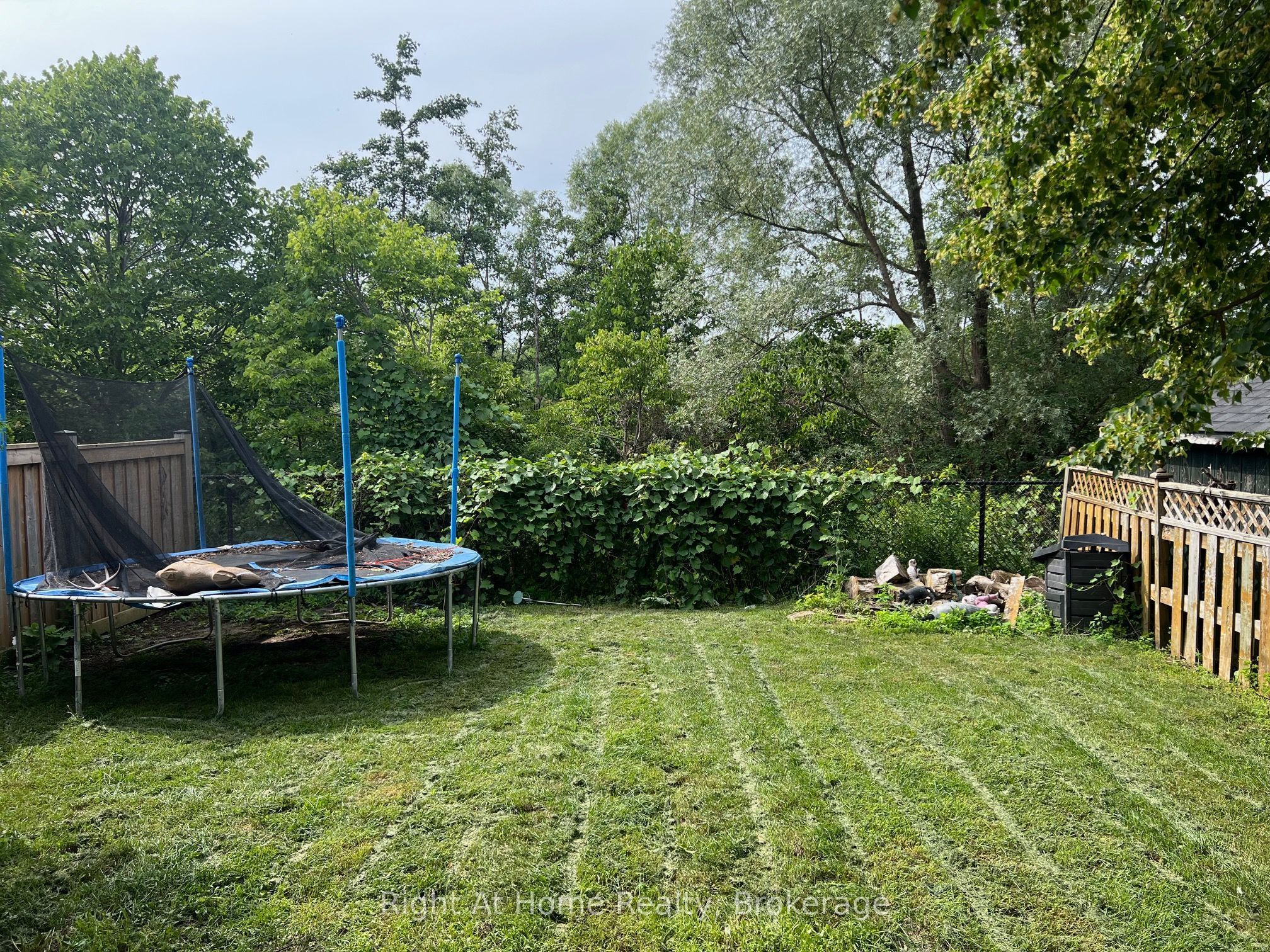 26 Moyse Drive Property Photo 6