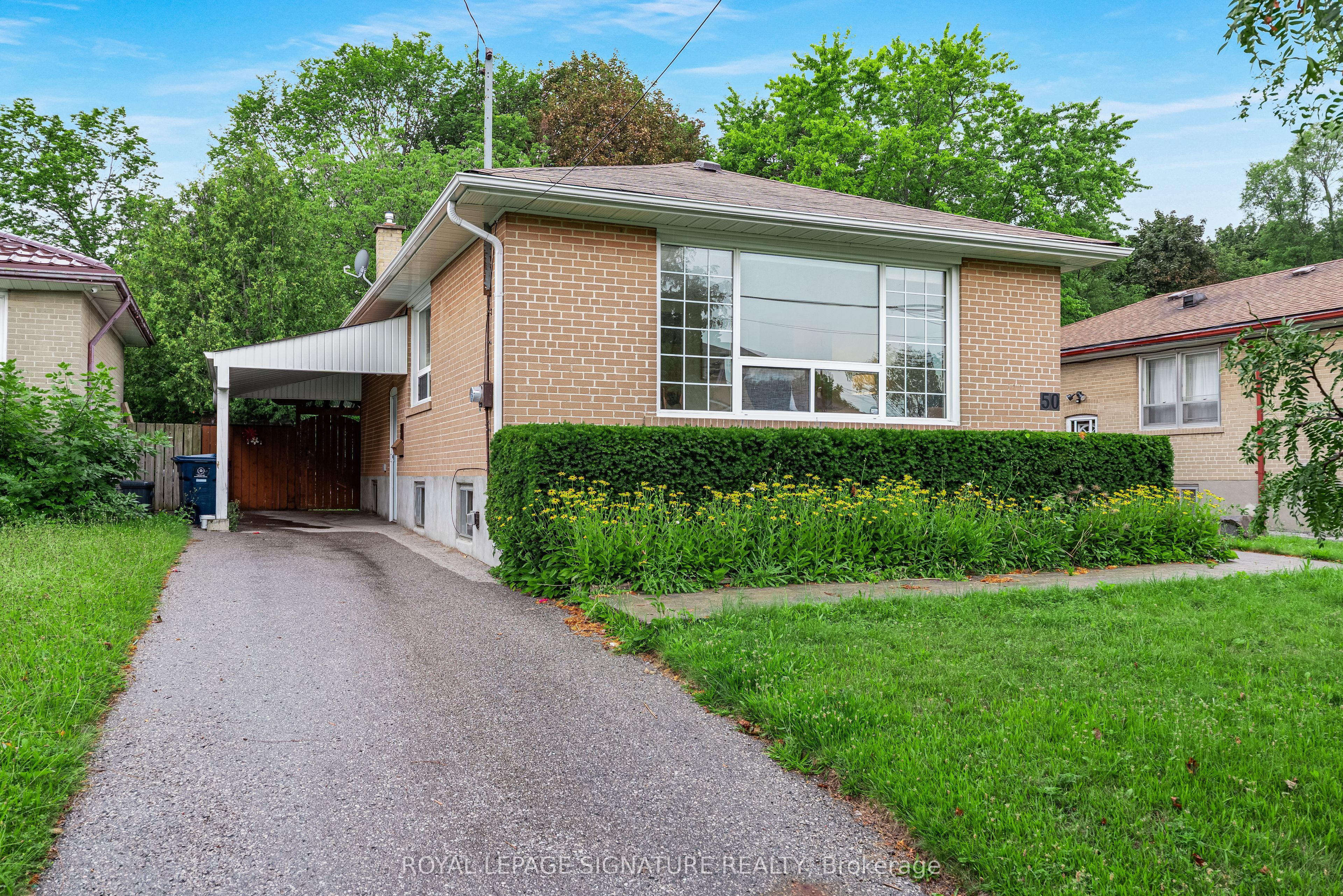 50 Celeste Drive