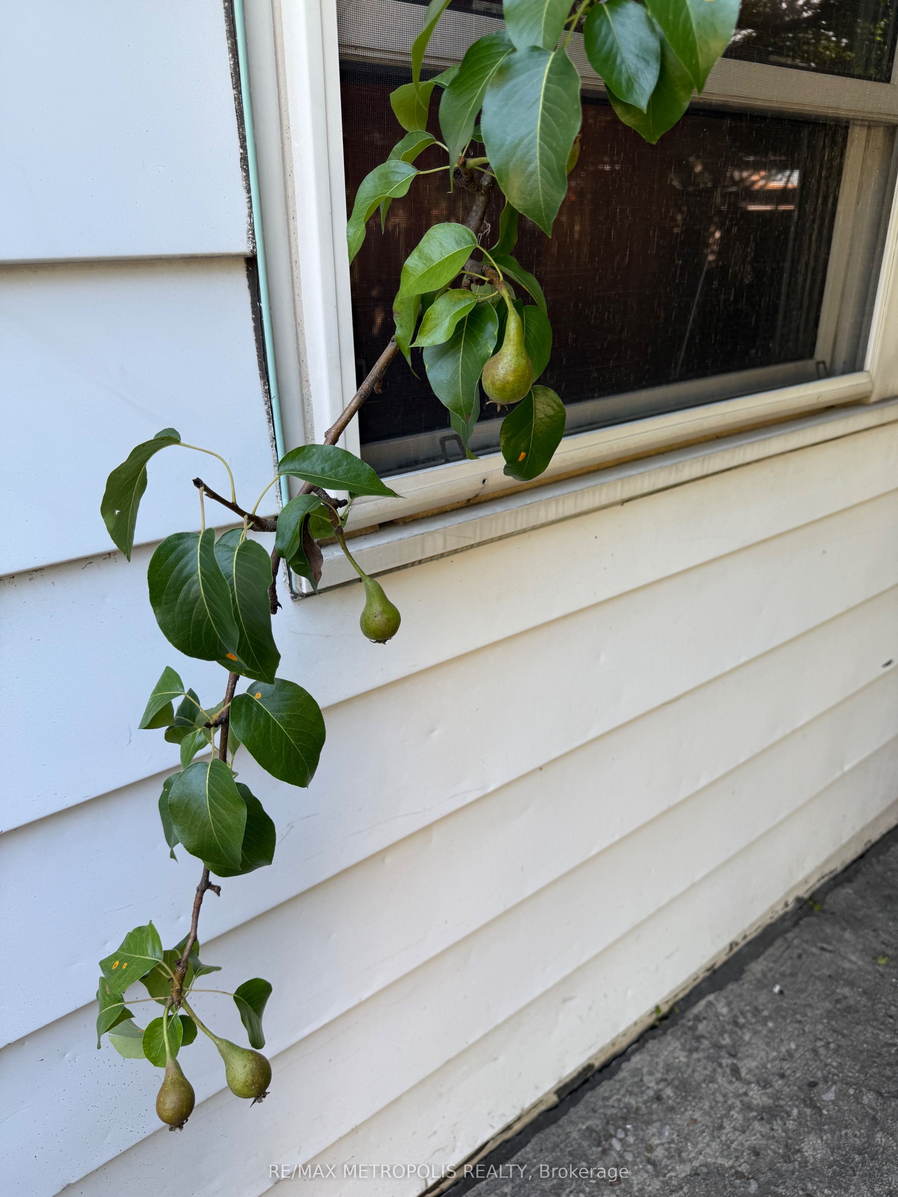 175 Celina Street Property Photo 44