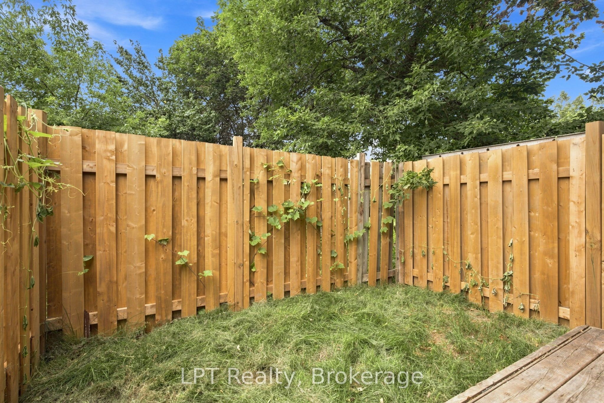 112 Olive Avenue Property Photo 38