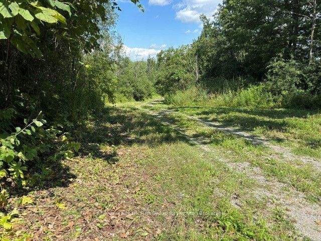 3530 Audley Road Property Photo 2