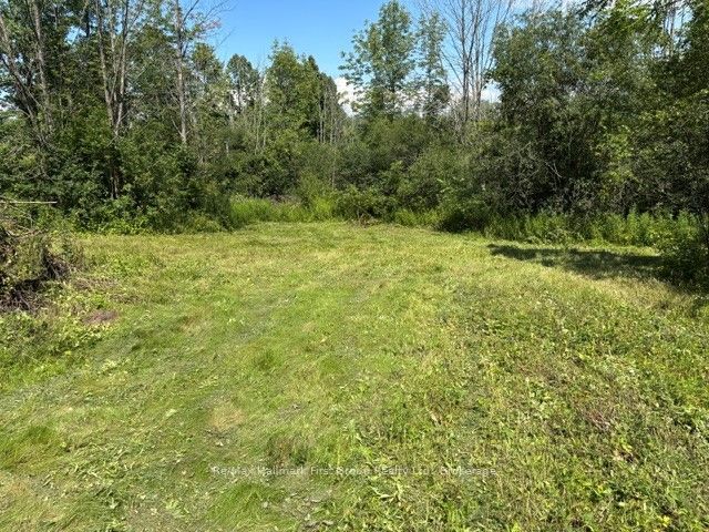 3530 Audley Road Property Photo 5