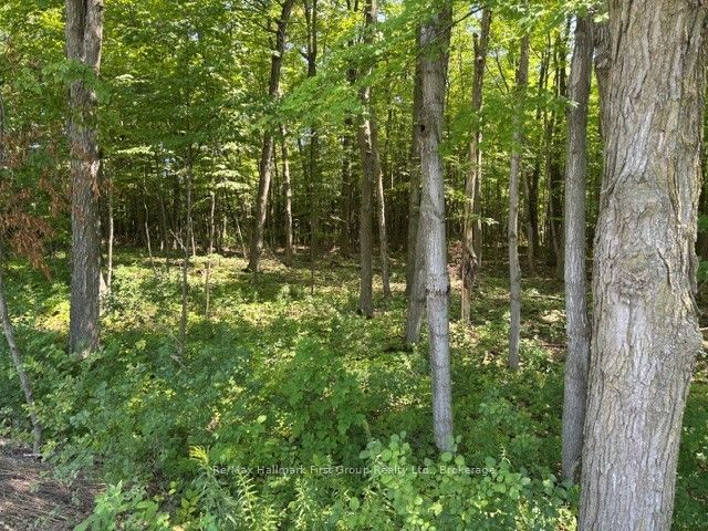 3530 Audley Road Property Photo 9