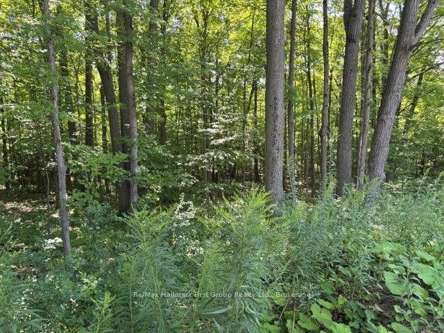 3530 Audley Road Property Photo 10