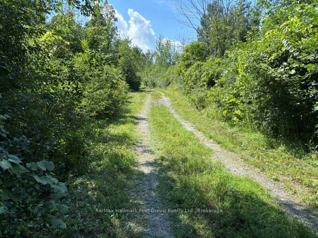 3530 Audley Road Property Photo 11