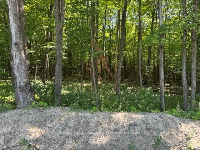 3530 Audley Road Property Photo 12
