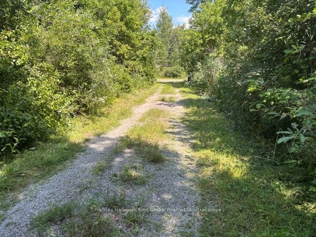 3530 Audley Road Property Photo 16