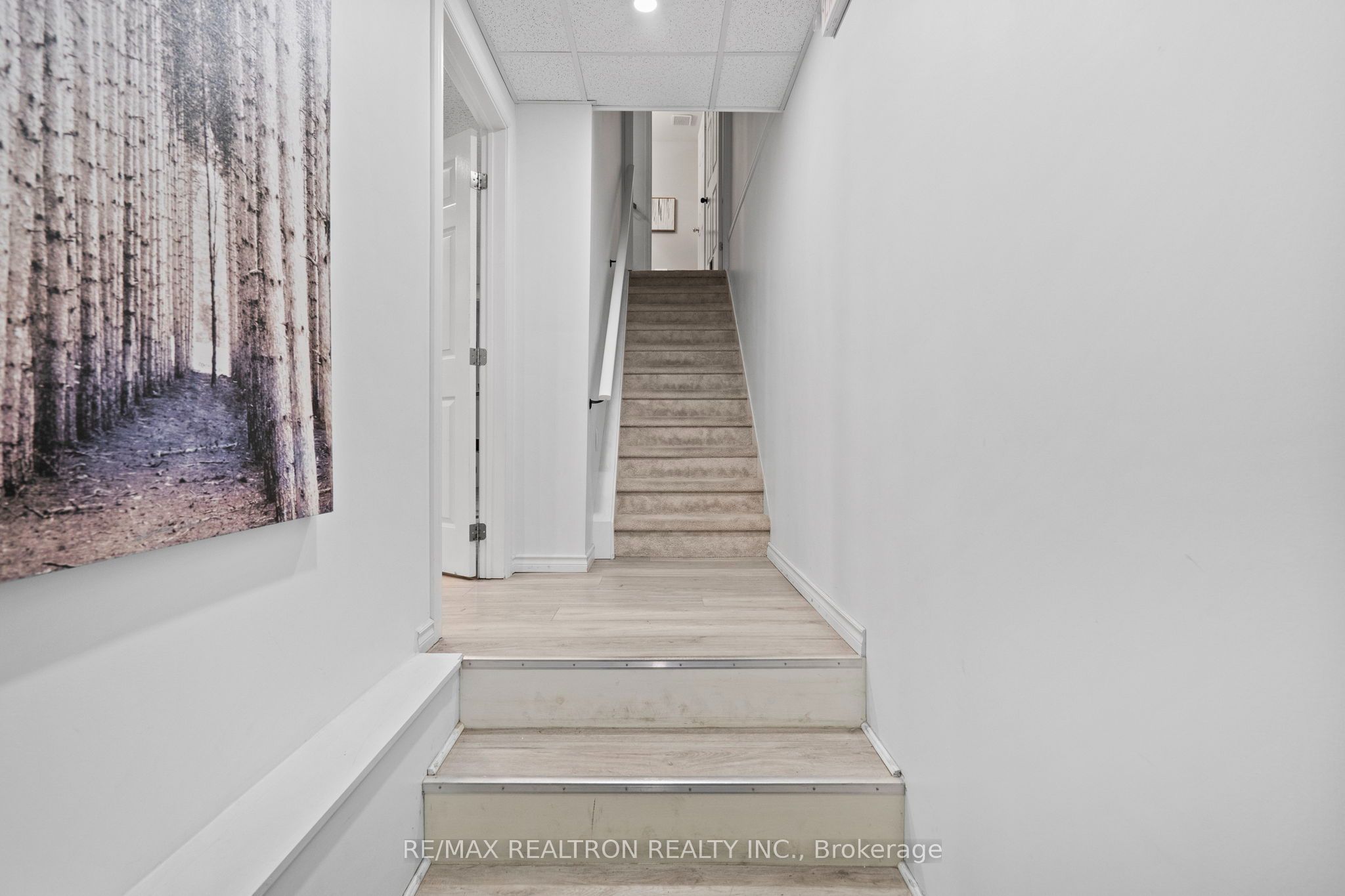 7 Torr Lane Property Photo 27