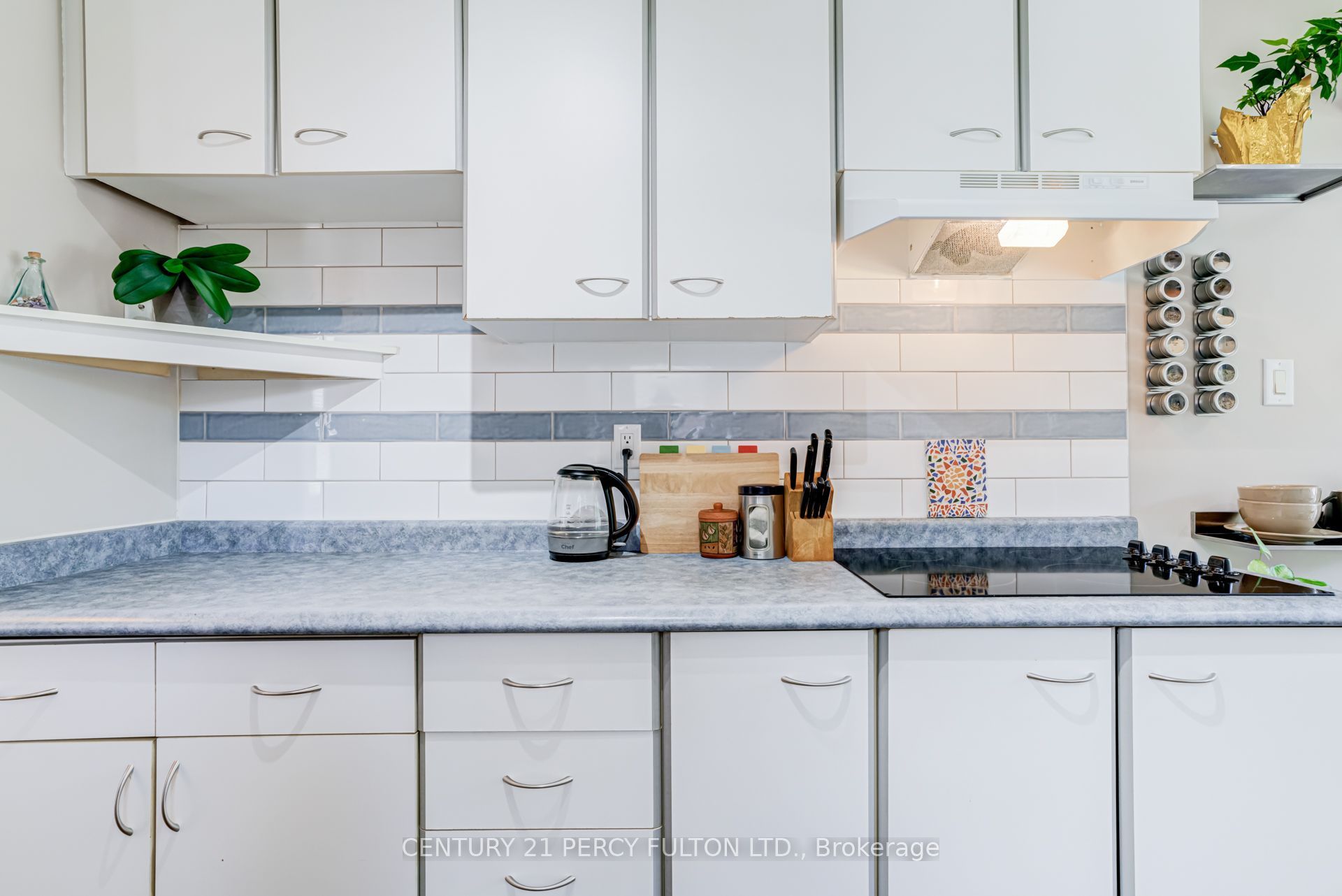 1391 Anton Square Property Photo 10