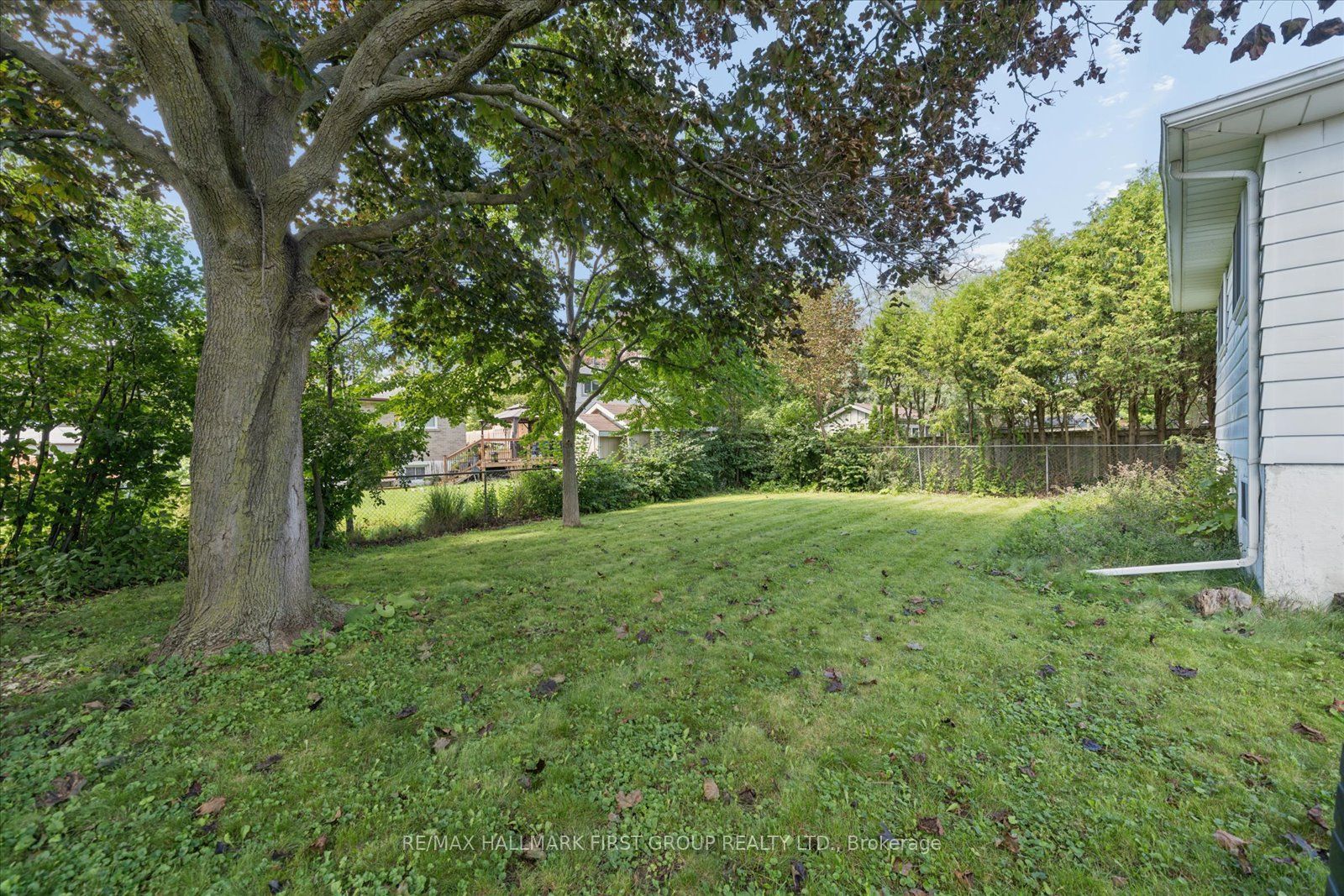 13 Lawrie Road Property Photo 19