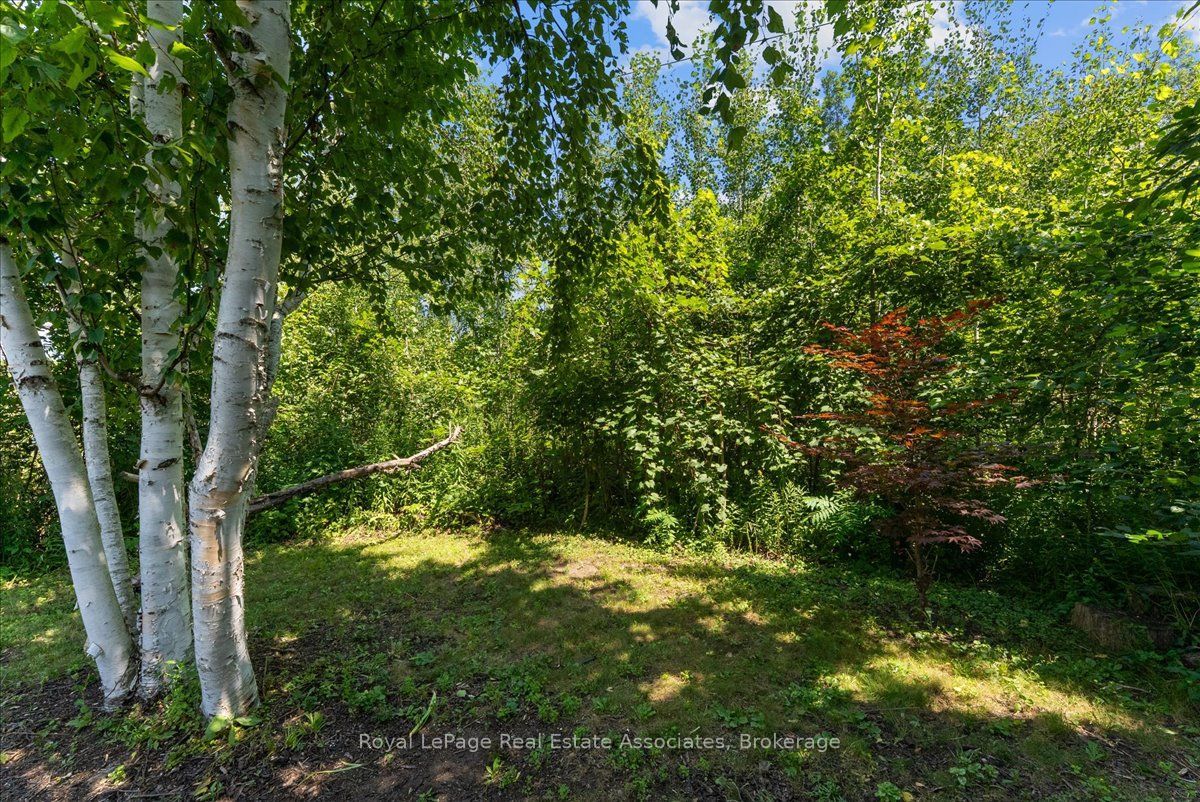 1464 Trowbridge Drive Property Photo 48