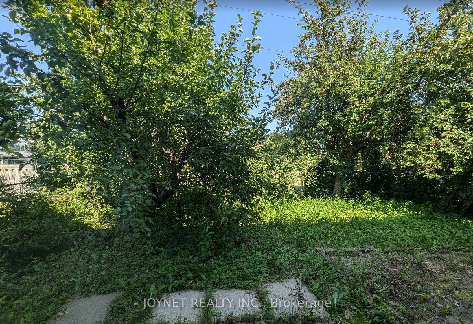 E13704392 Property Photo 12