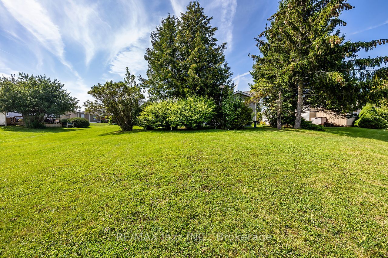5 King Court Property Photo 28