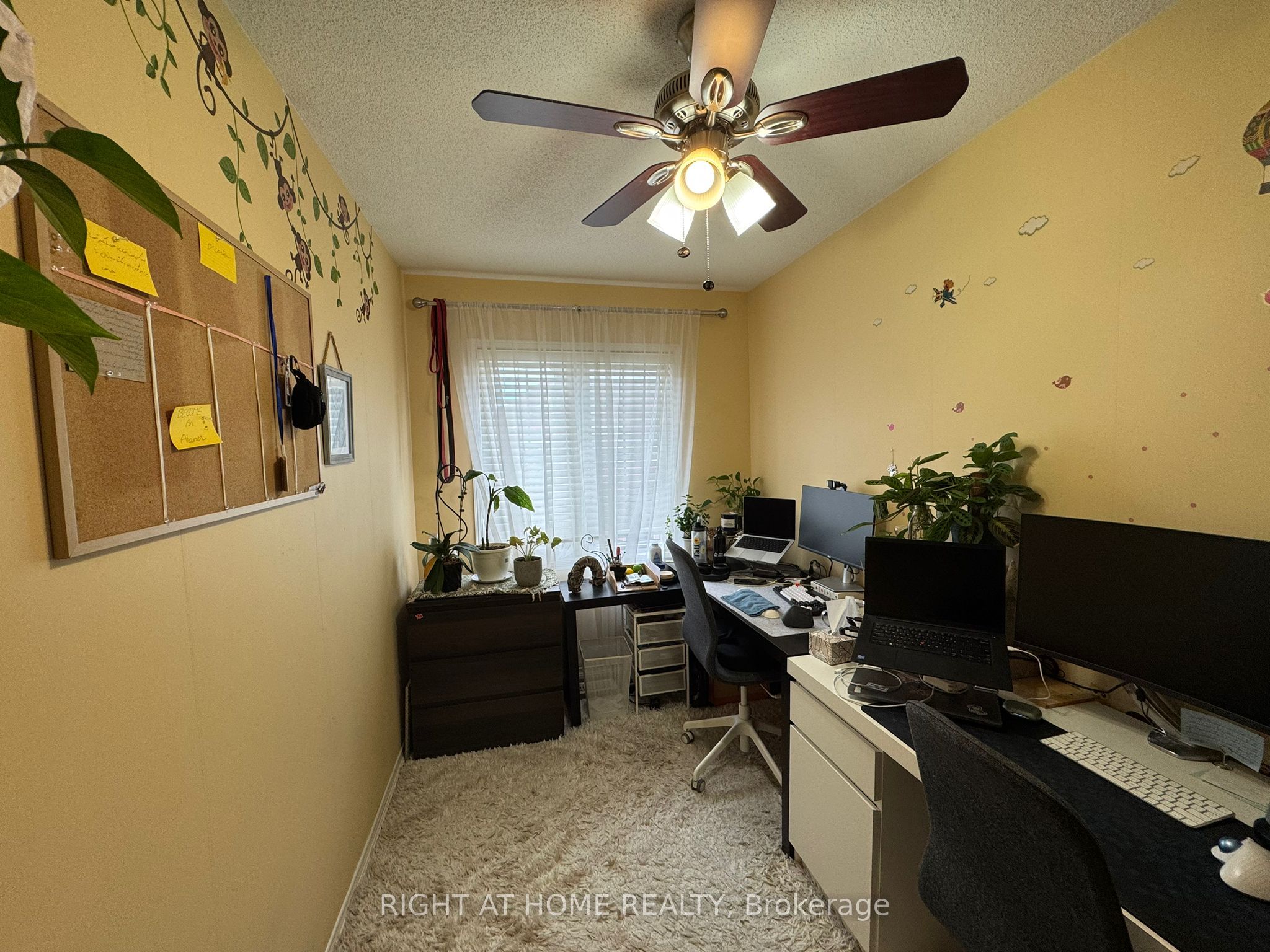 23 Linnell Street Property Photo 19