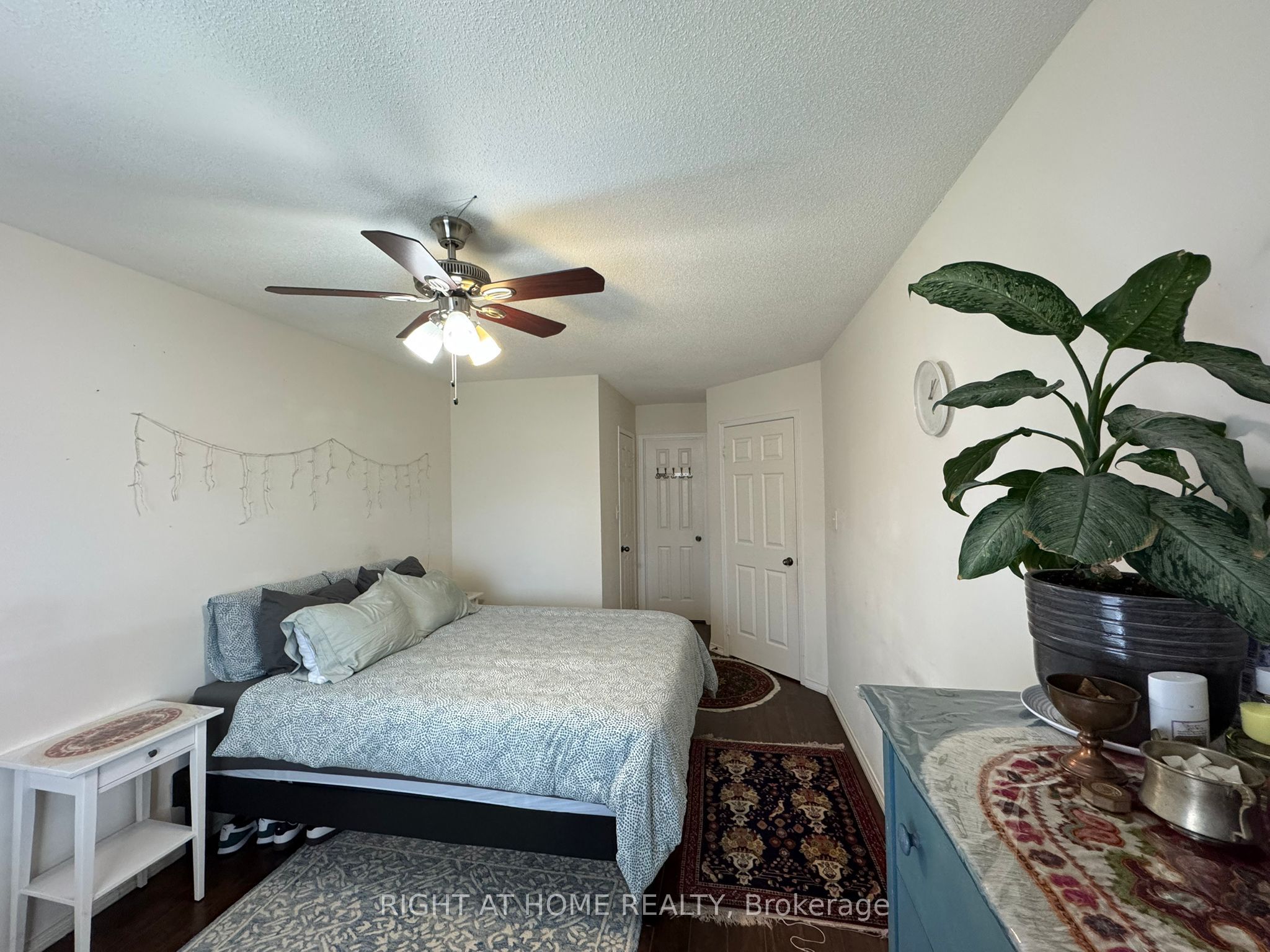 23 Linnell Street Property Photo 20
