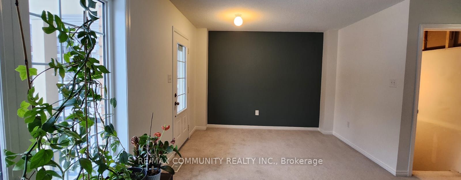 113 Ainley Road Property Photo 4